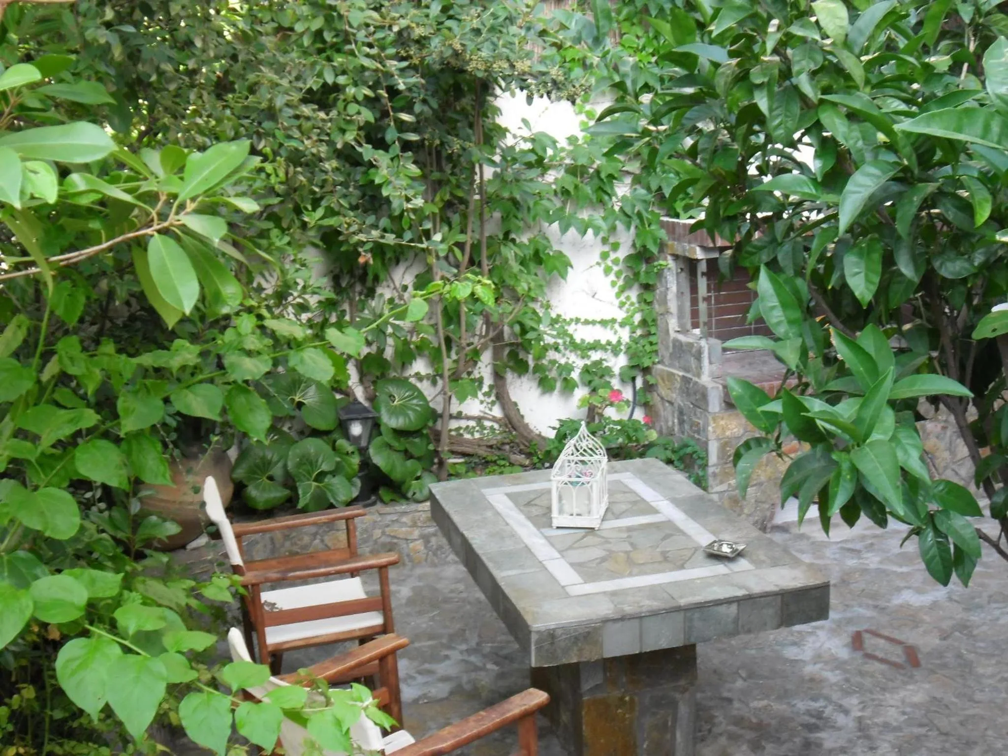Garden in Litsa