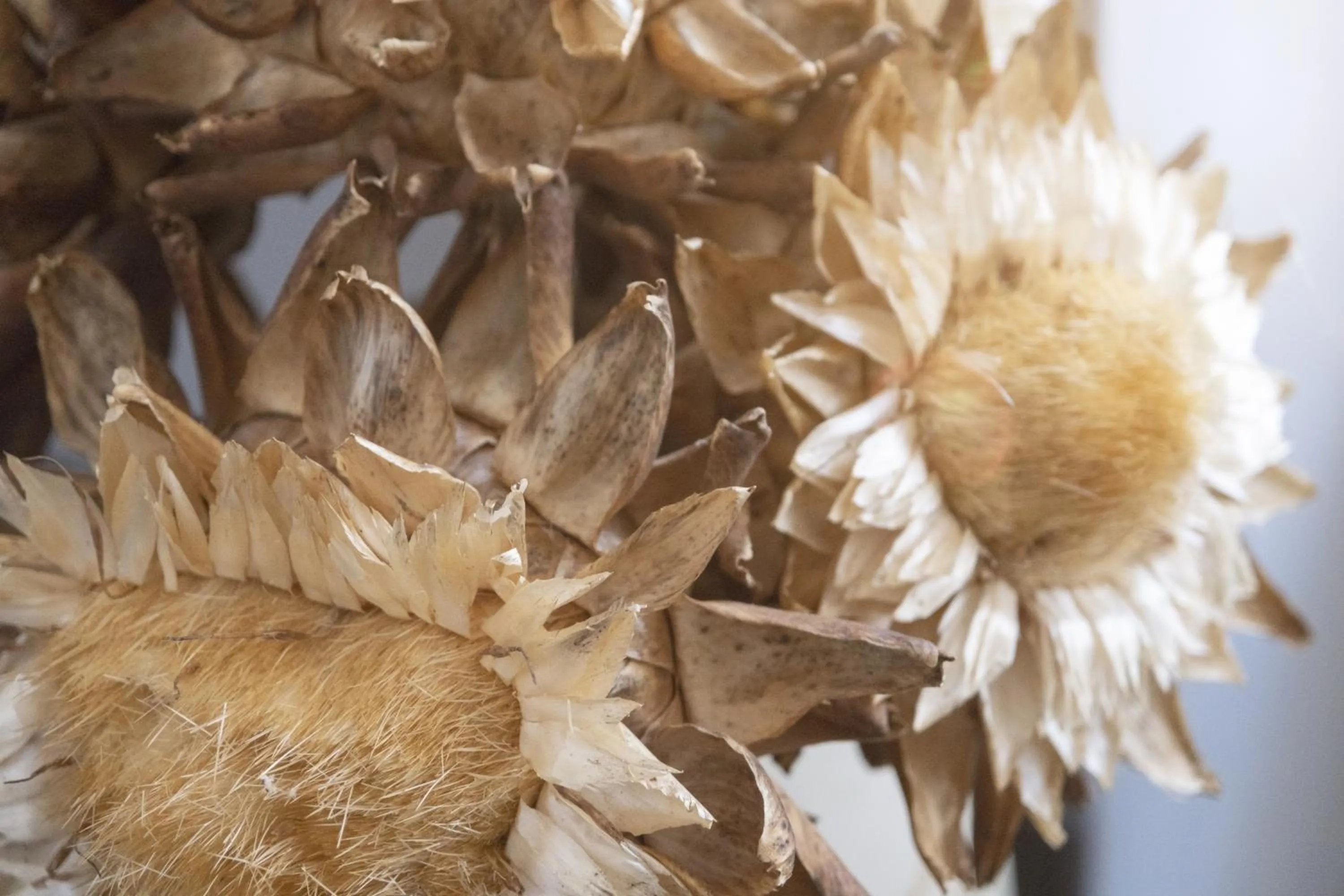 Decorative detail in Alle Alaçatı