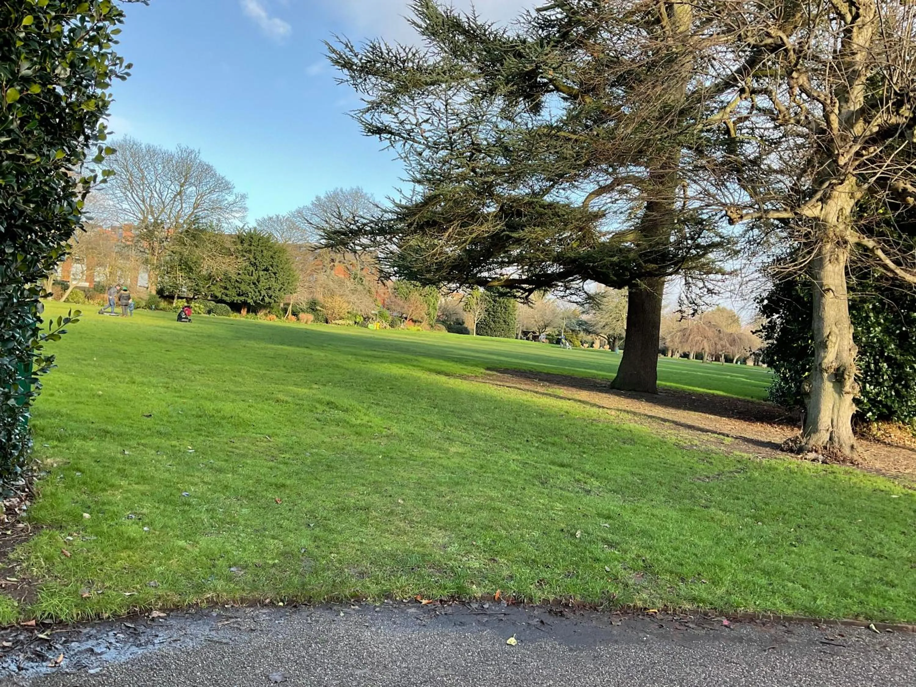 Natural landscape in Park View