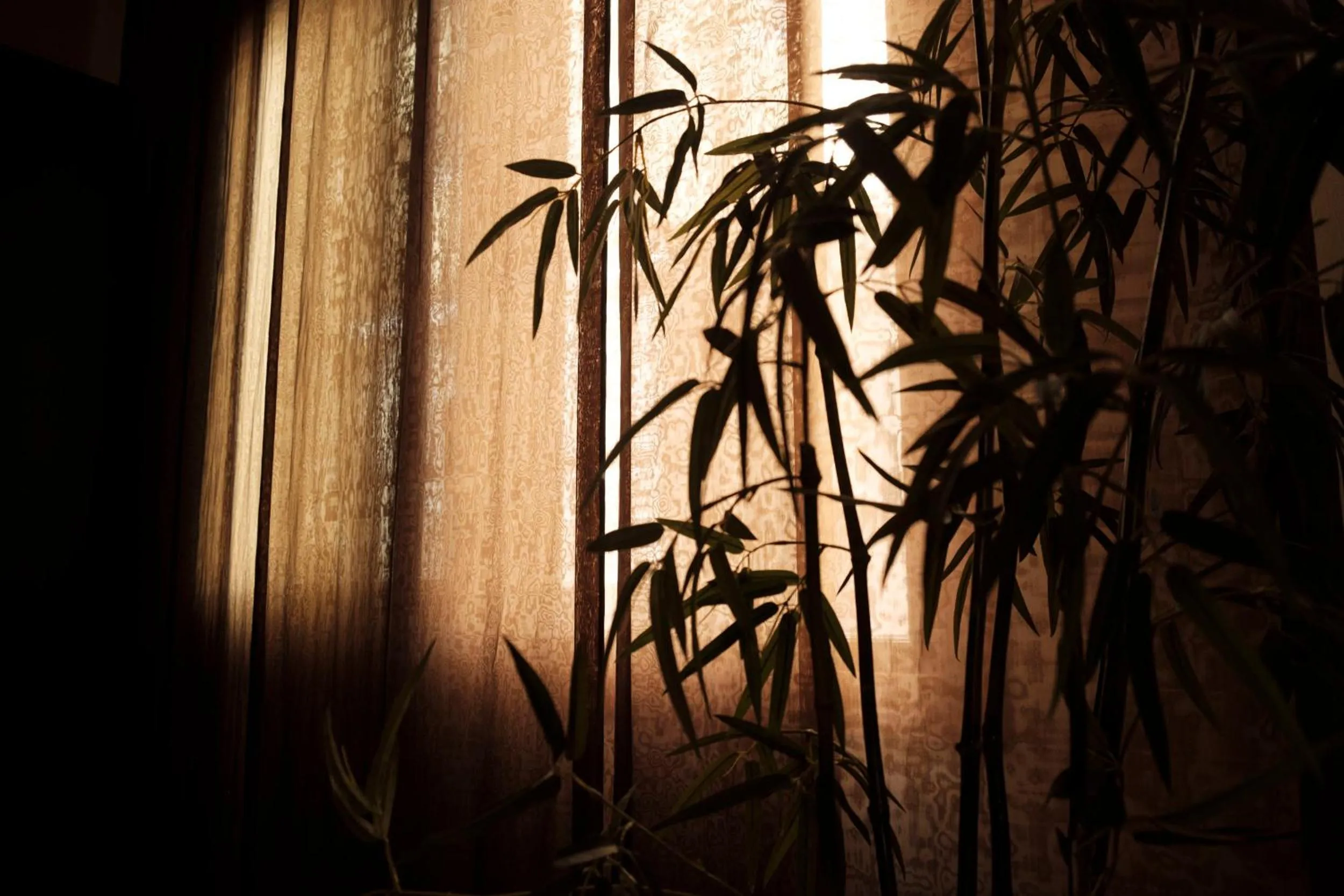 Decorative detail in Ca' Pozzo Inn