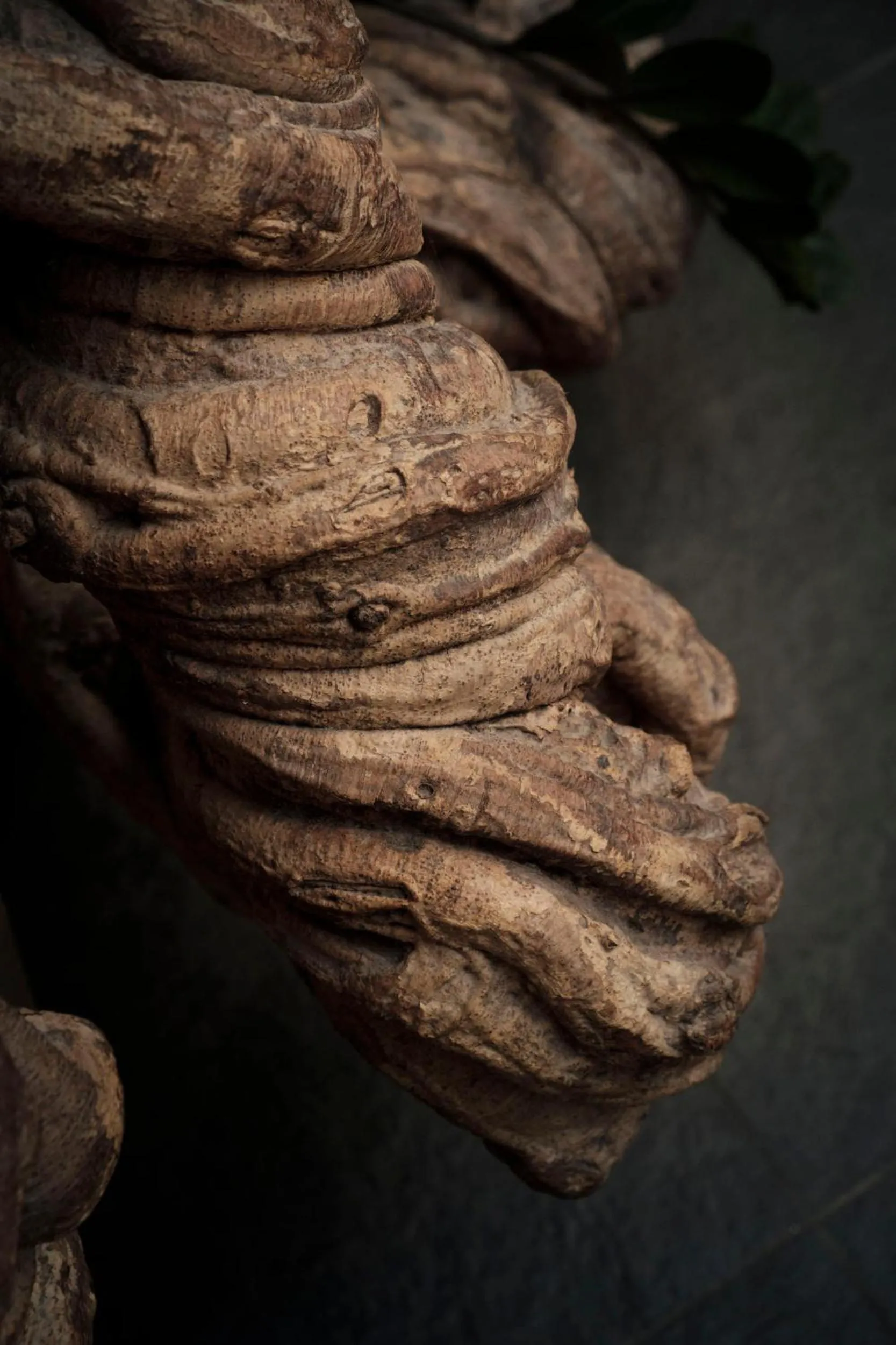Decorative detail in Ca' Pozzo Inn
