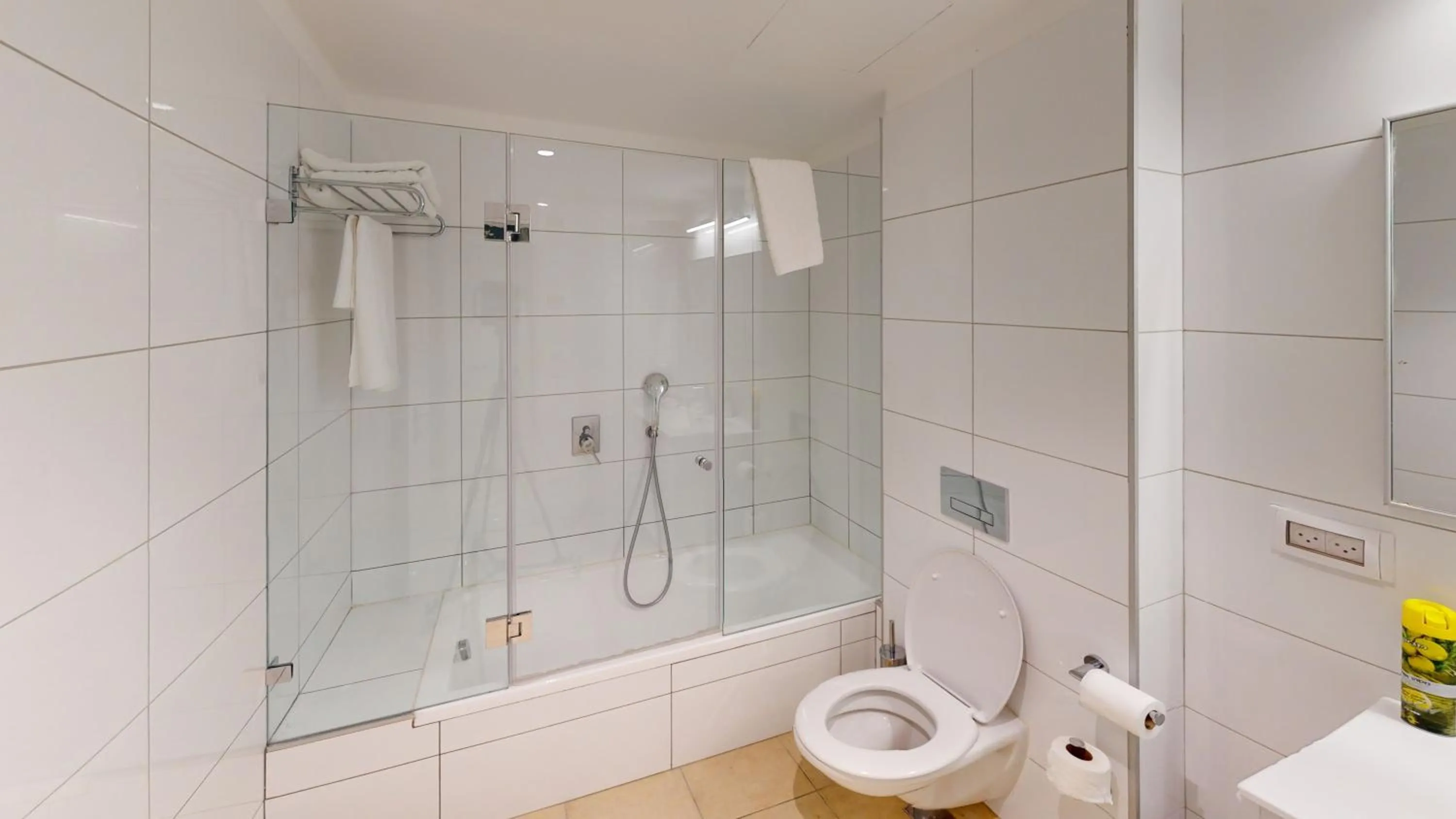 Luxury apartments Boutique Haneviim