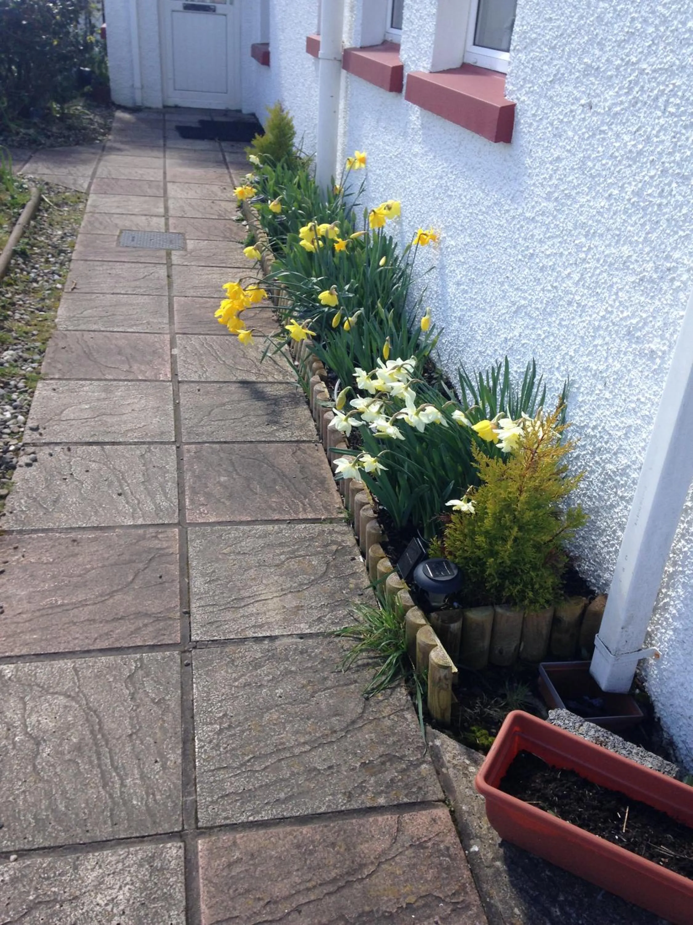 Property building in Finn McCools Giants Causeway Hostel