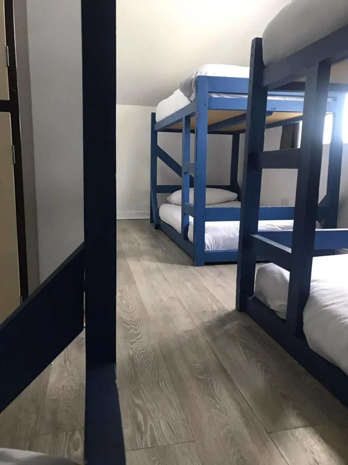 Bed in 6-Bed Mixed Dormitory Room in Finn McCools Giants Causeway Hostel Bed in 6-Bed Mixed Dormitory Room in Finn McCools Giants Causeway Hostel