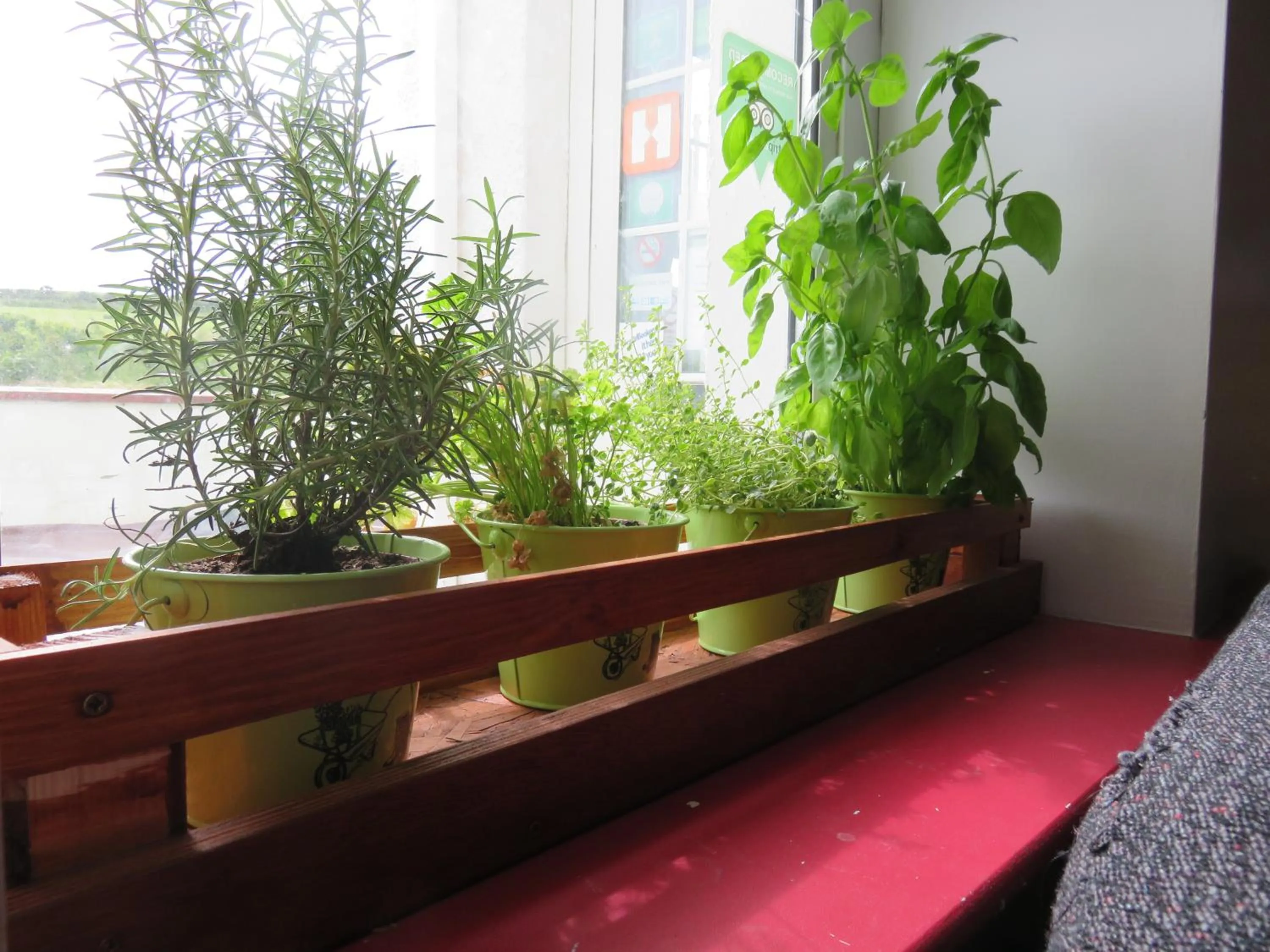 View (from property/room) in Finn McCools Giants Causeway Hostel