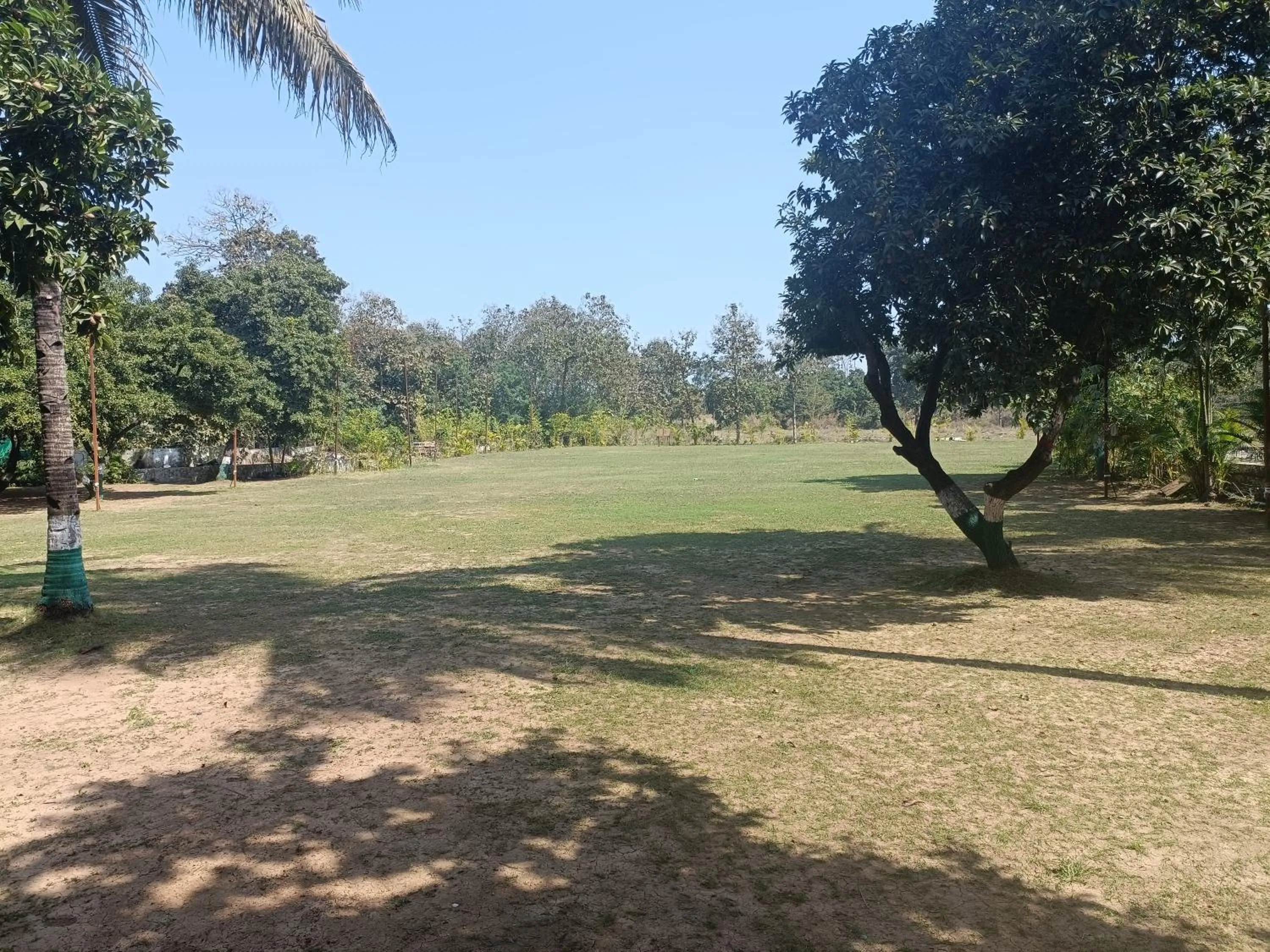 Garden in Inspira Resort