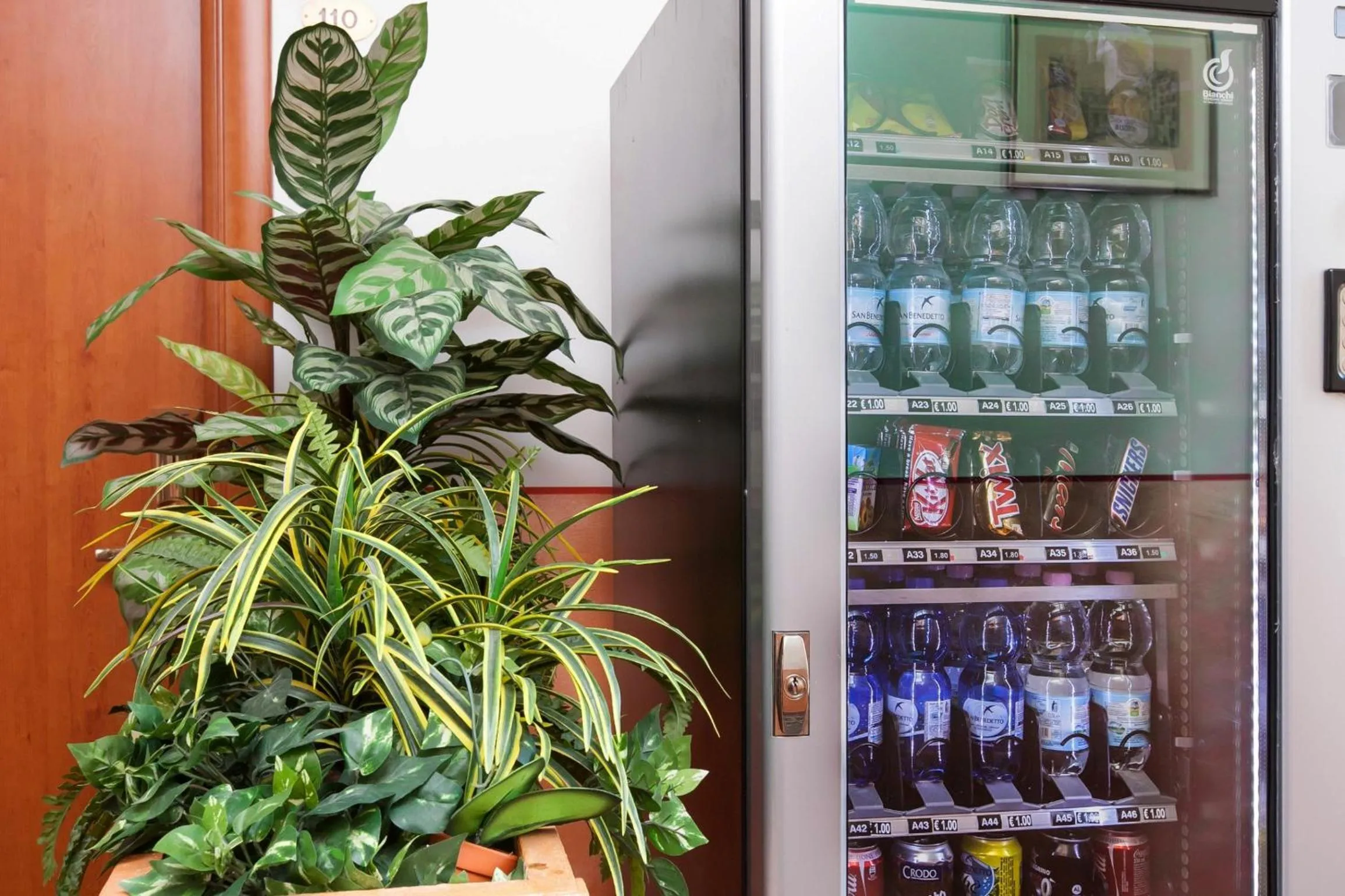 Area and facilities in Hotel Kappa