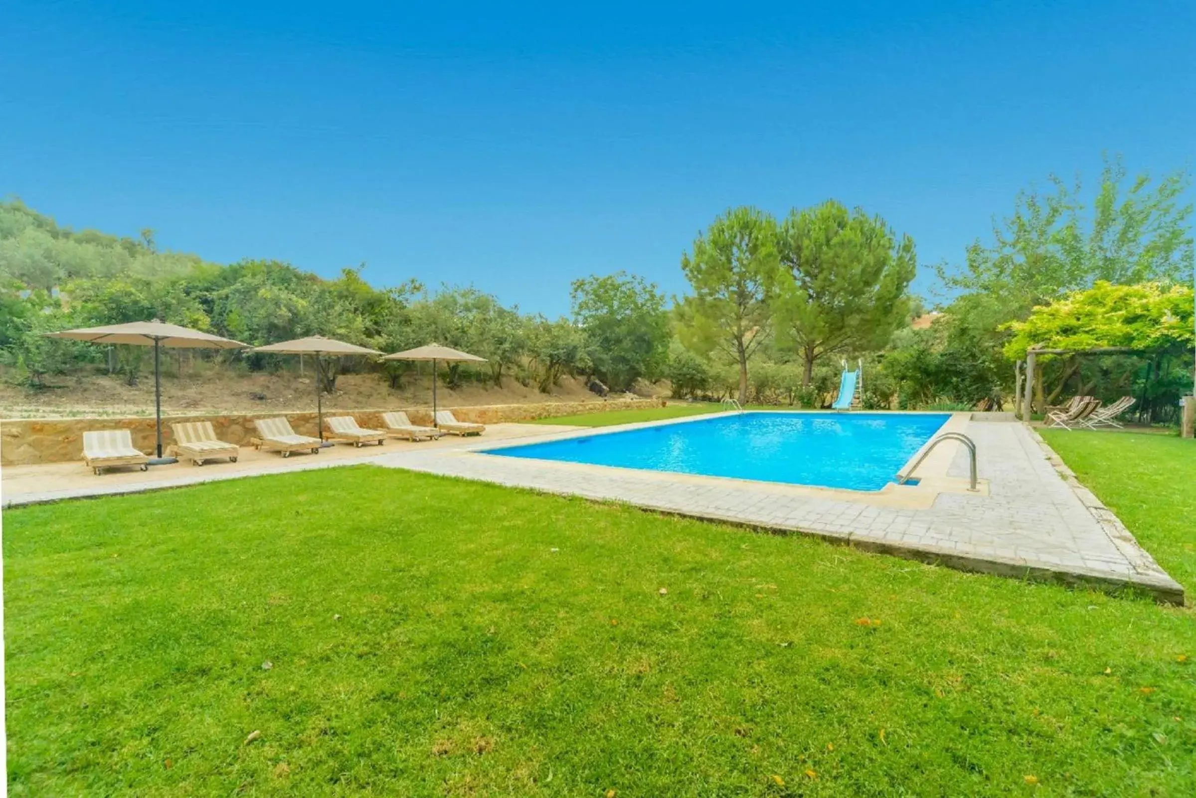 El Molino de las Palomas El Molino de las Palomas