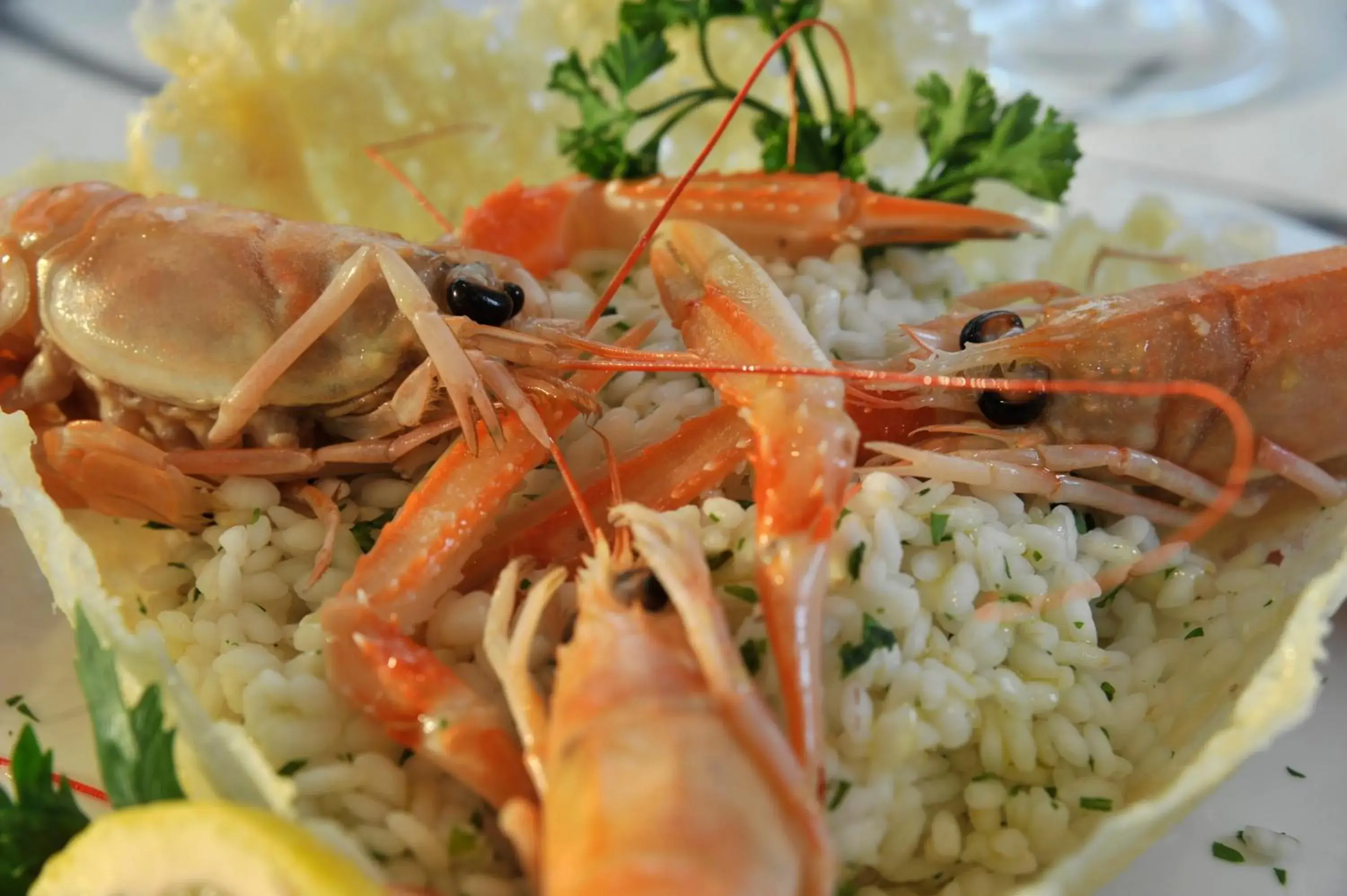 Restaurant/places to eat in Tulip Inn Padova Restaurant/places to eat in Tulip Inn Padova