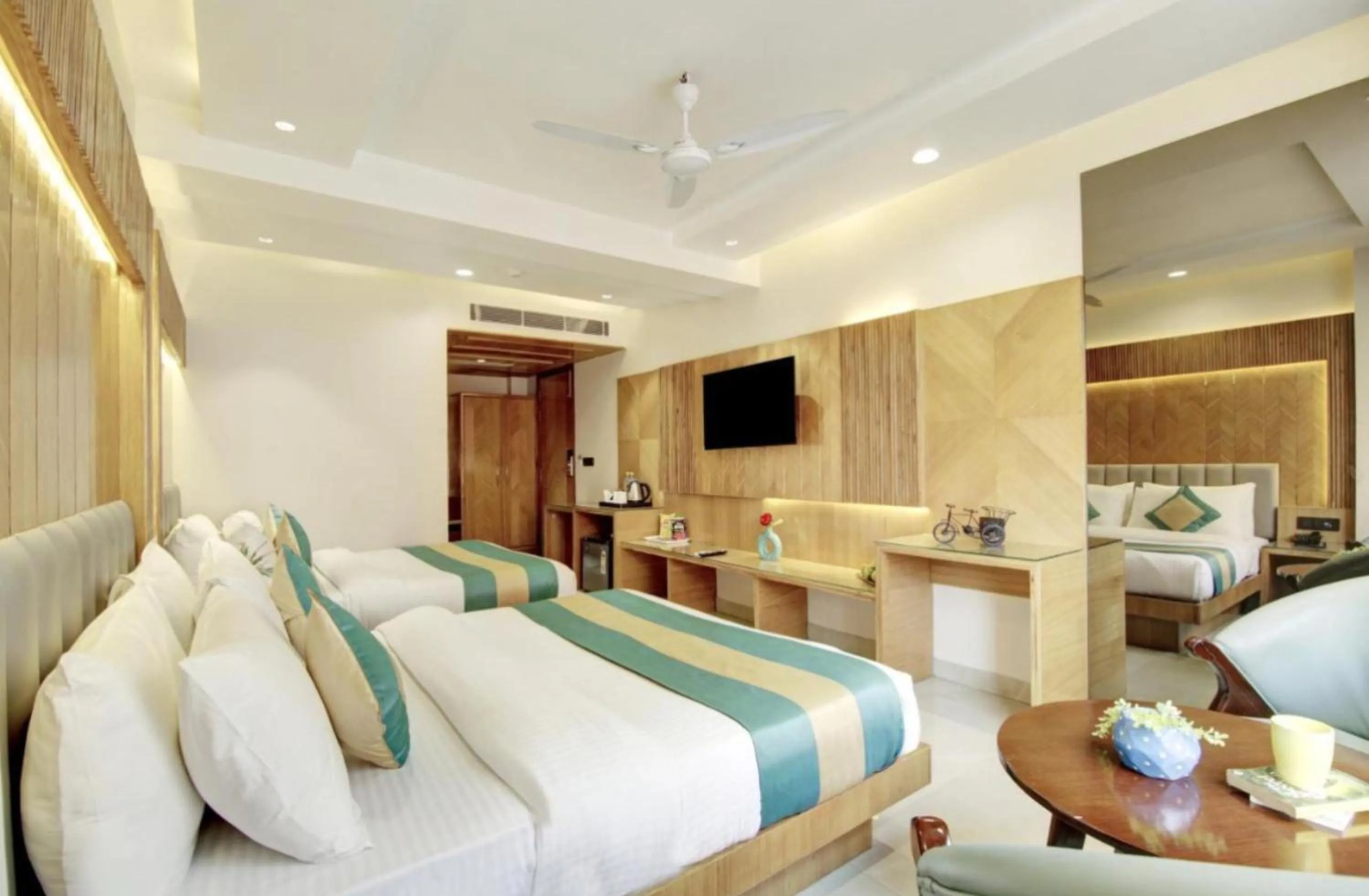TV and multimedia in Hotel Platinum -Delhi Airport