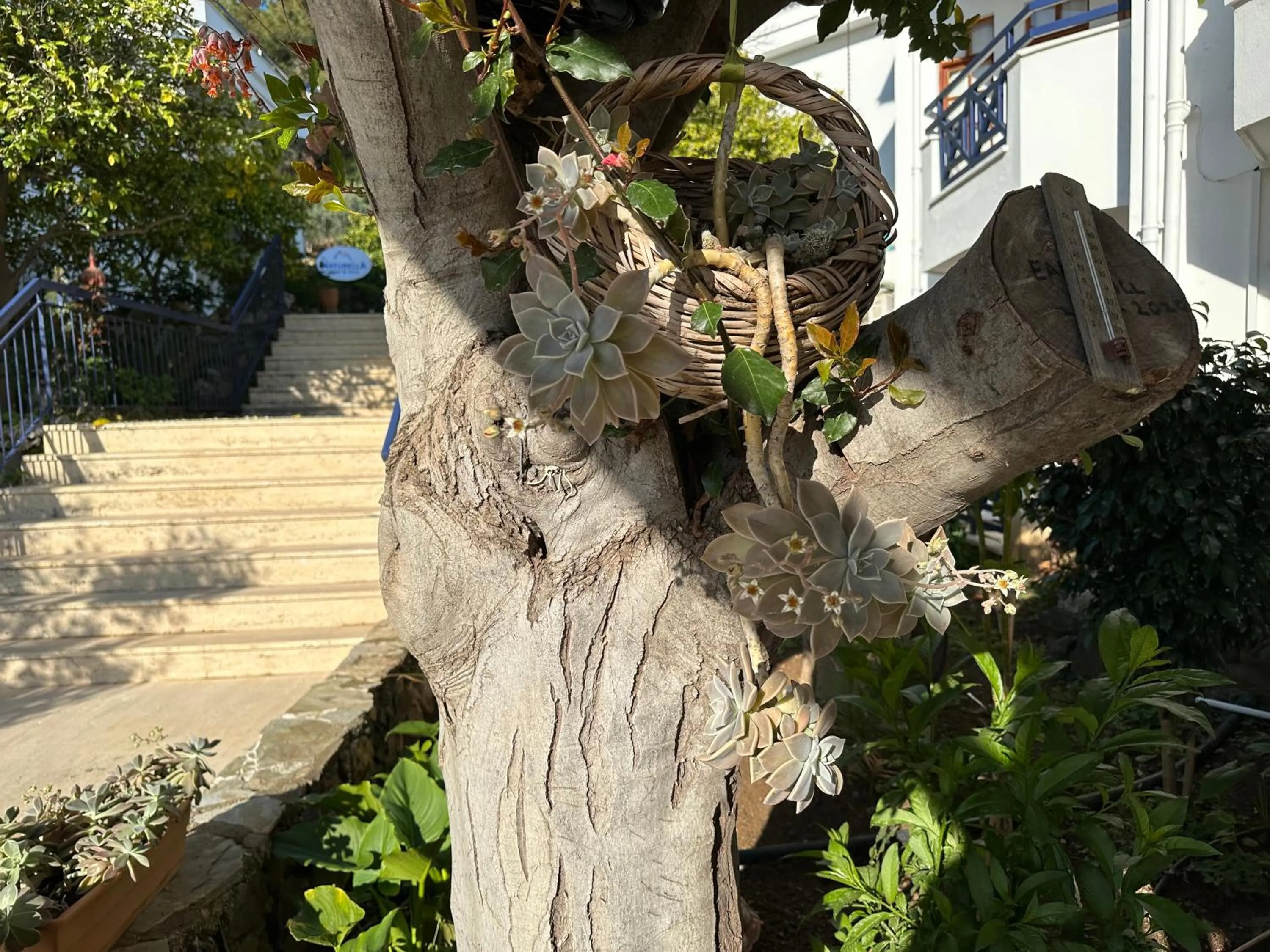 Spring in NATURELLA APART HOTEL