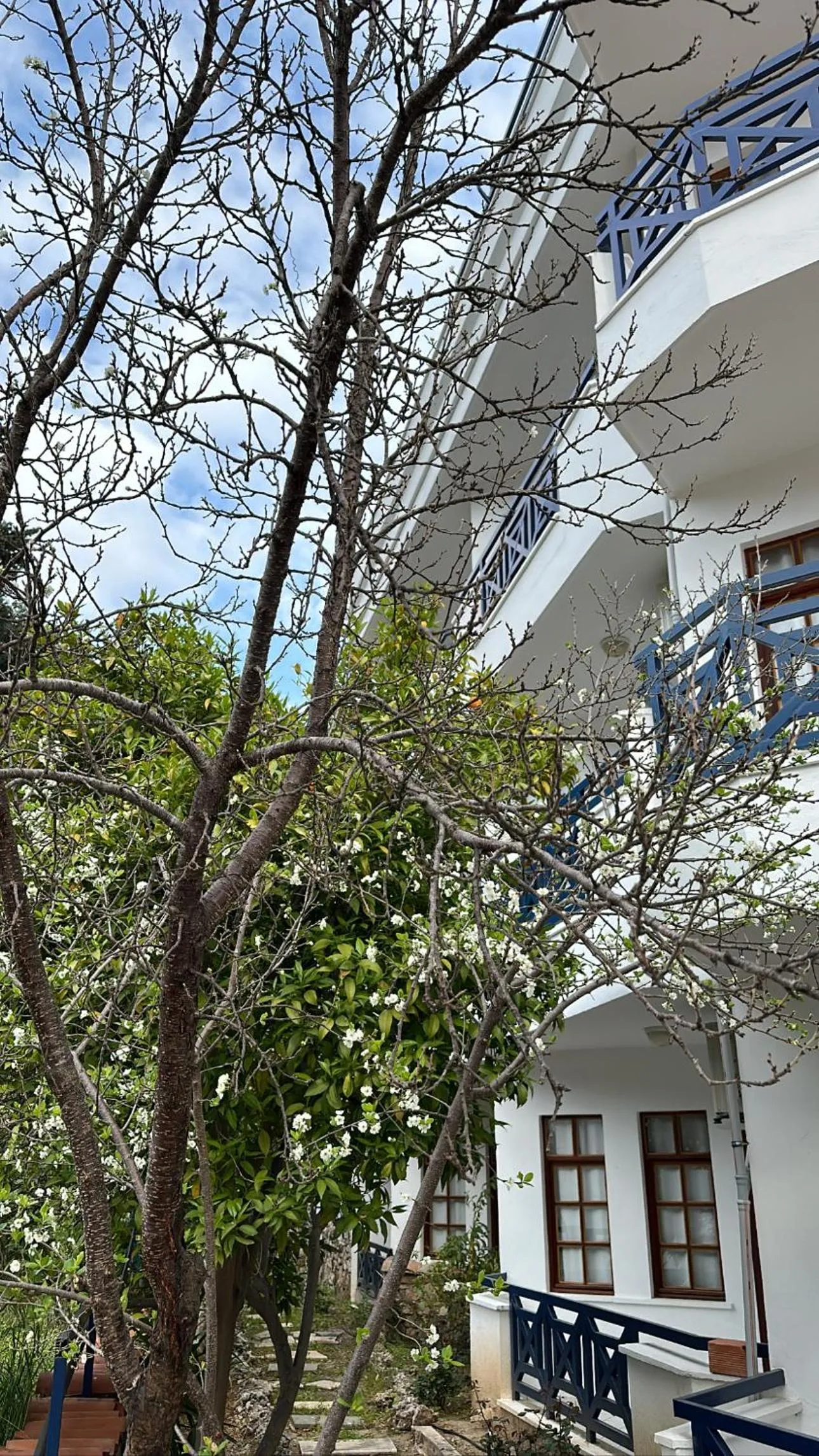 Property building in NATURELLA APART HOTEL