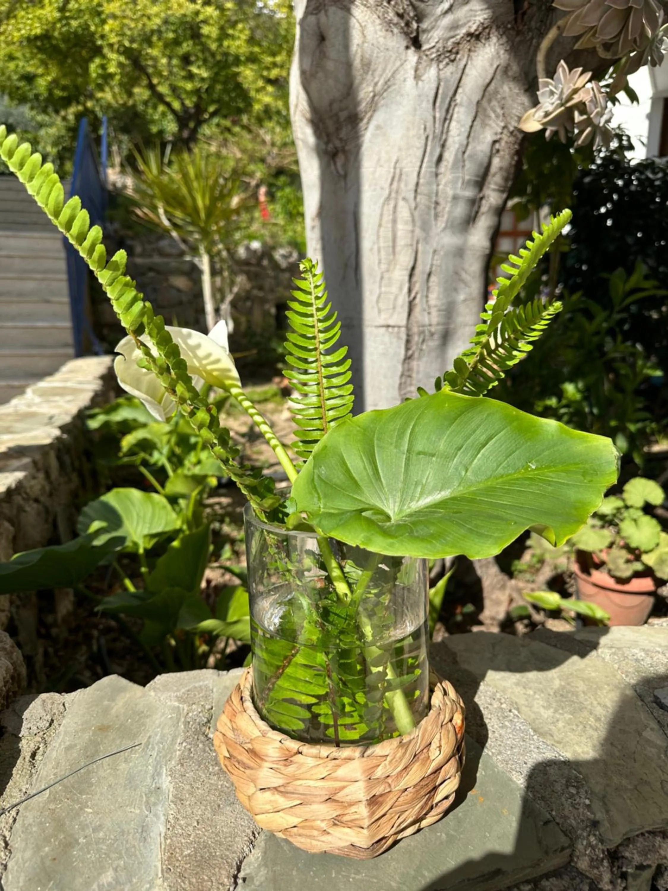 Garden in NATURELLA APART HOTEL