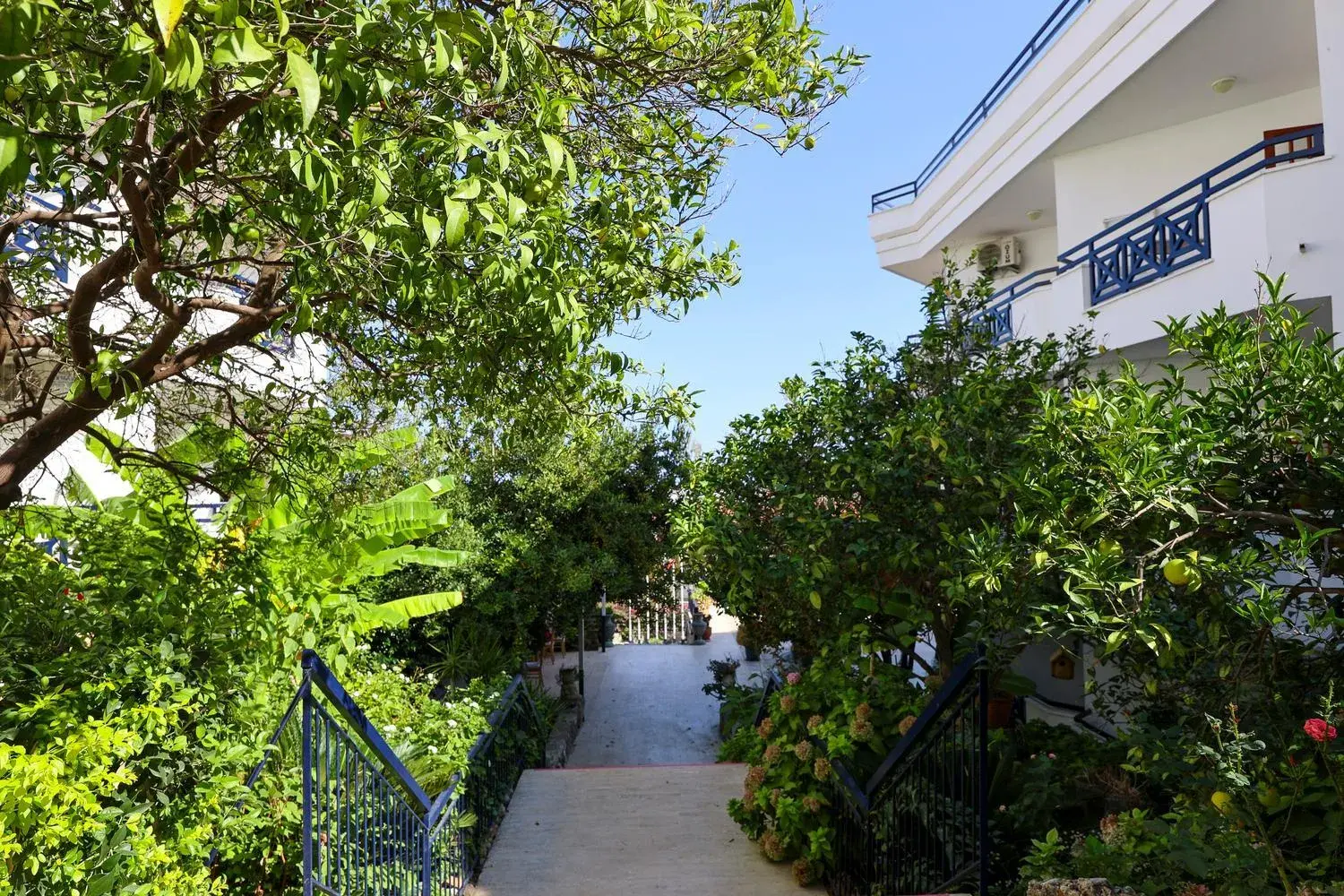 Garden in NATURELLA APART HOTEL Garden in NATURELLA APART HOTEL