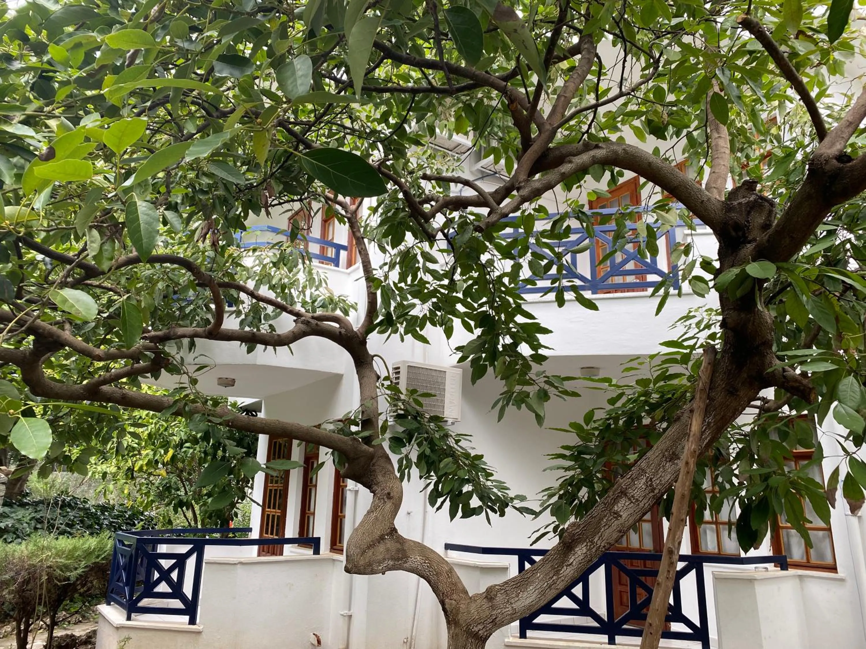 Patio in NATURELLA APART HOTEL