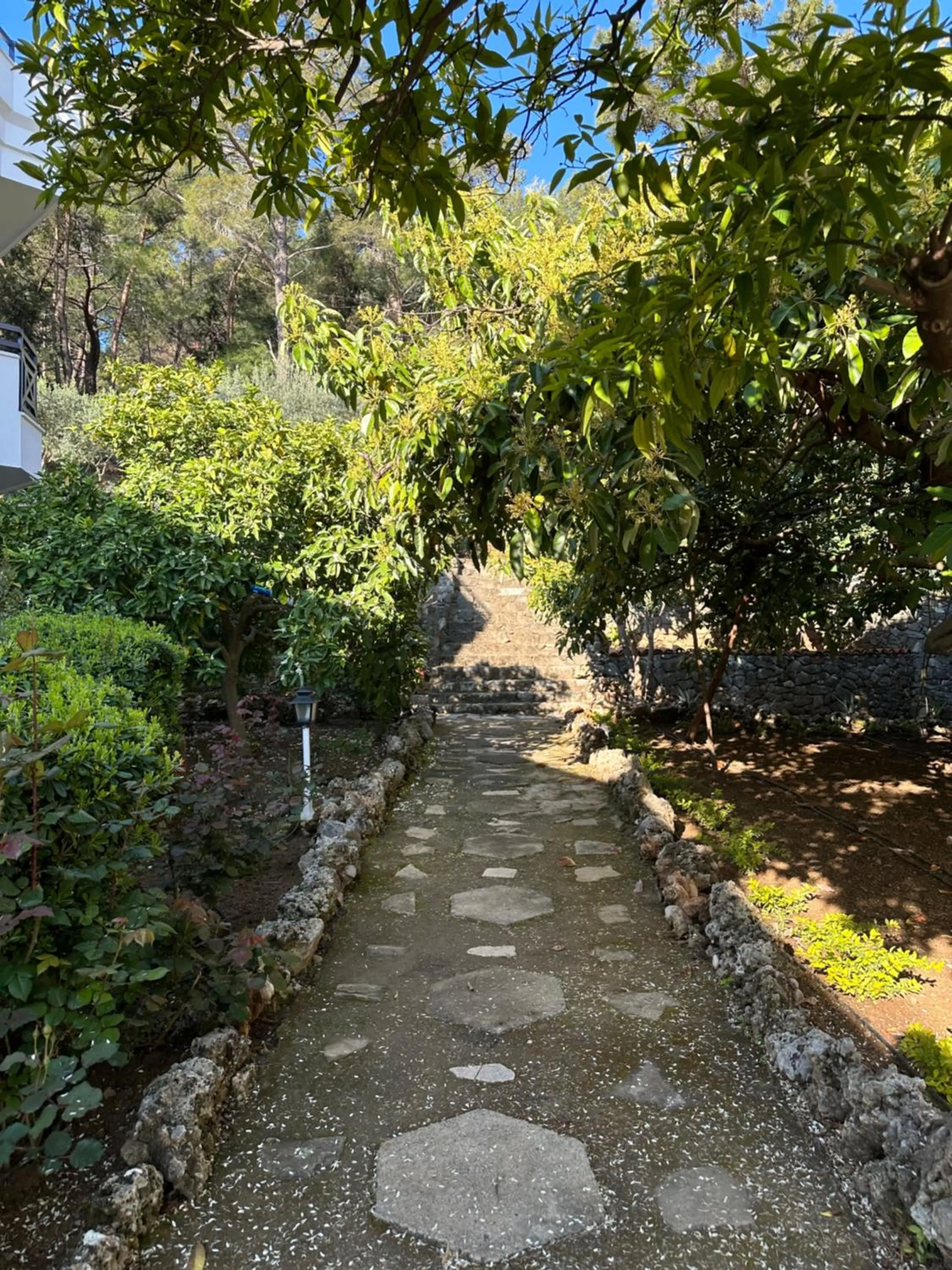 Spring in NATURELLA APART HOTEL