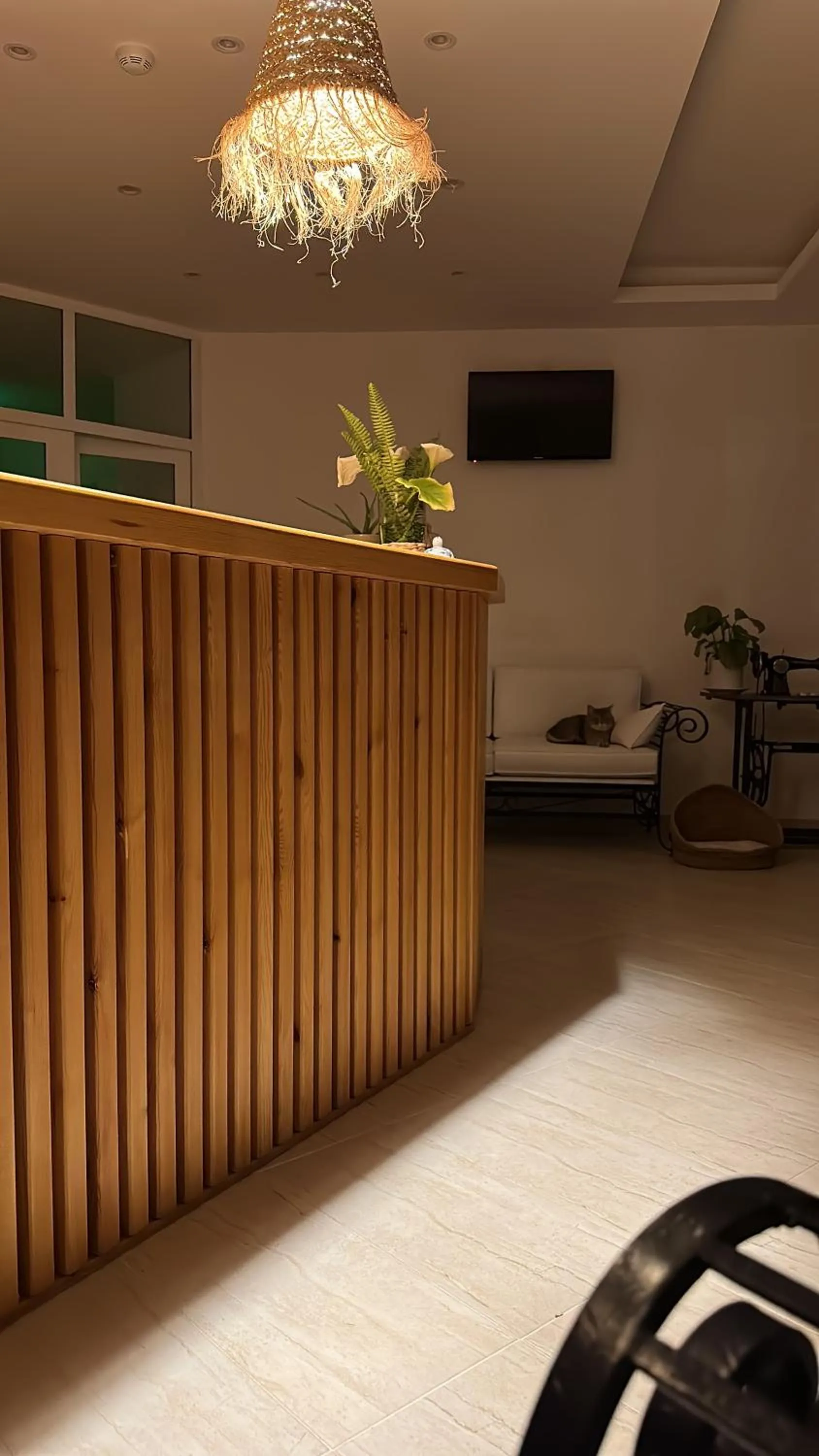 Seating area in NATURELLA APART HOTEL