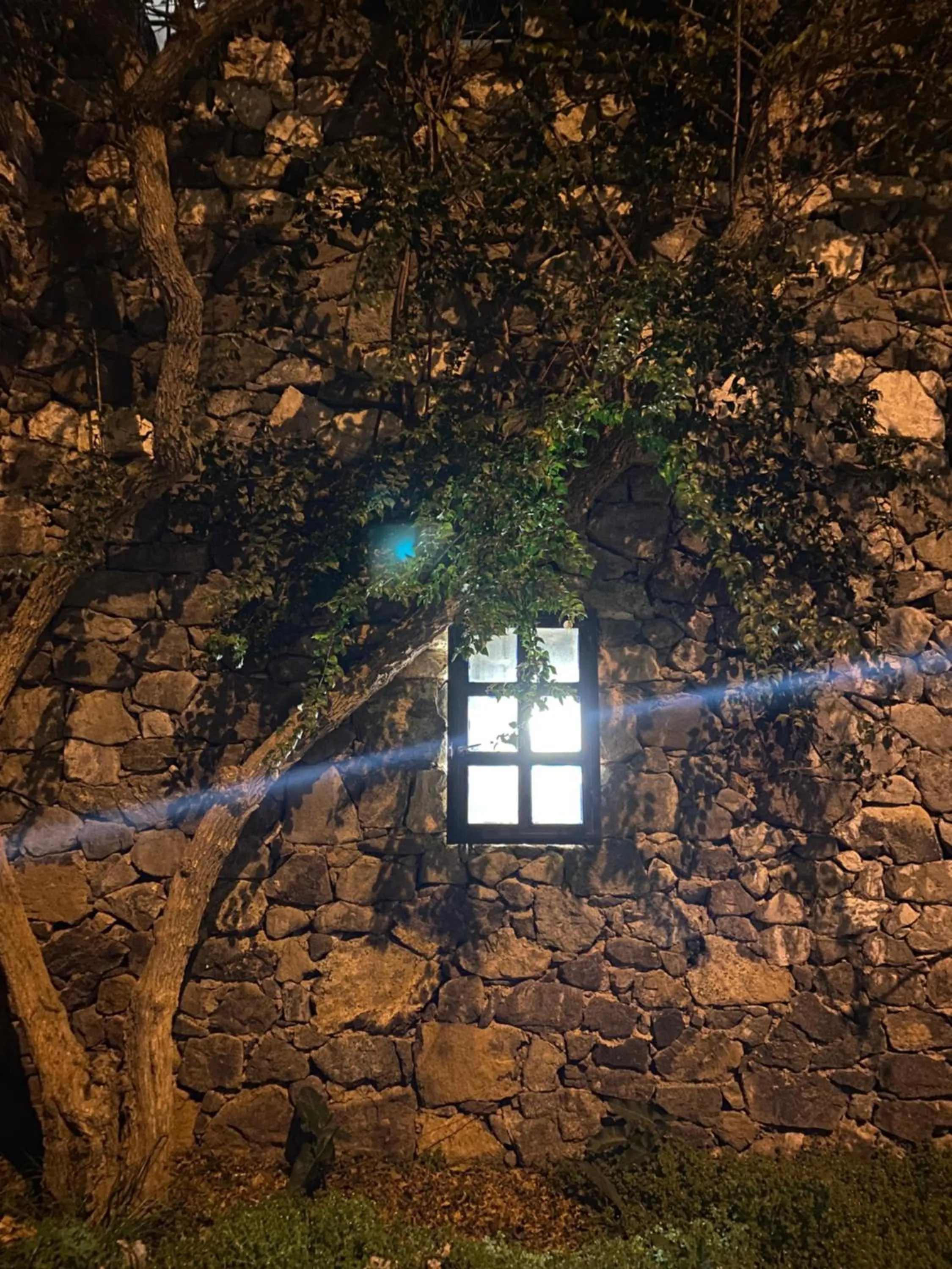 Property building in NATURELLA APART HOTEL