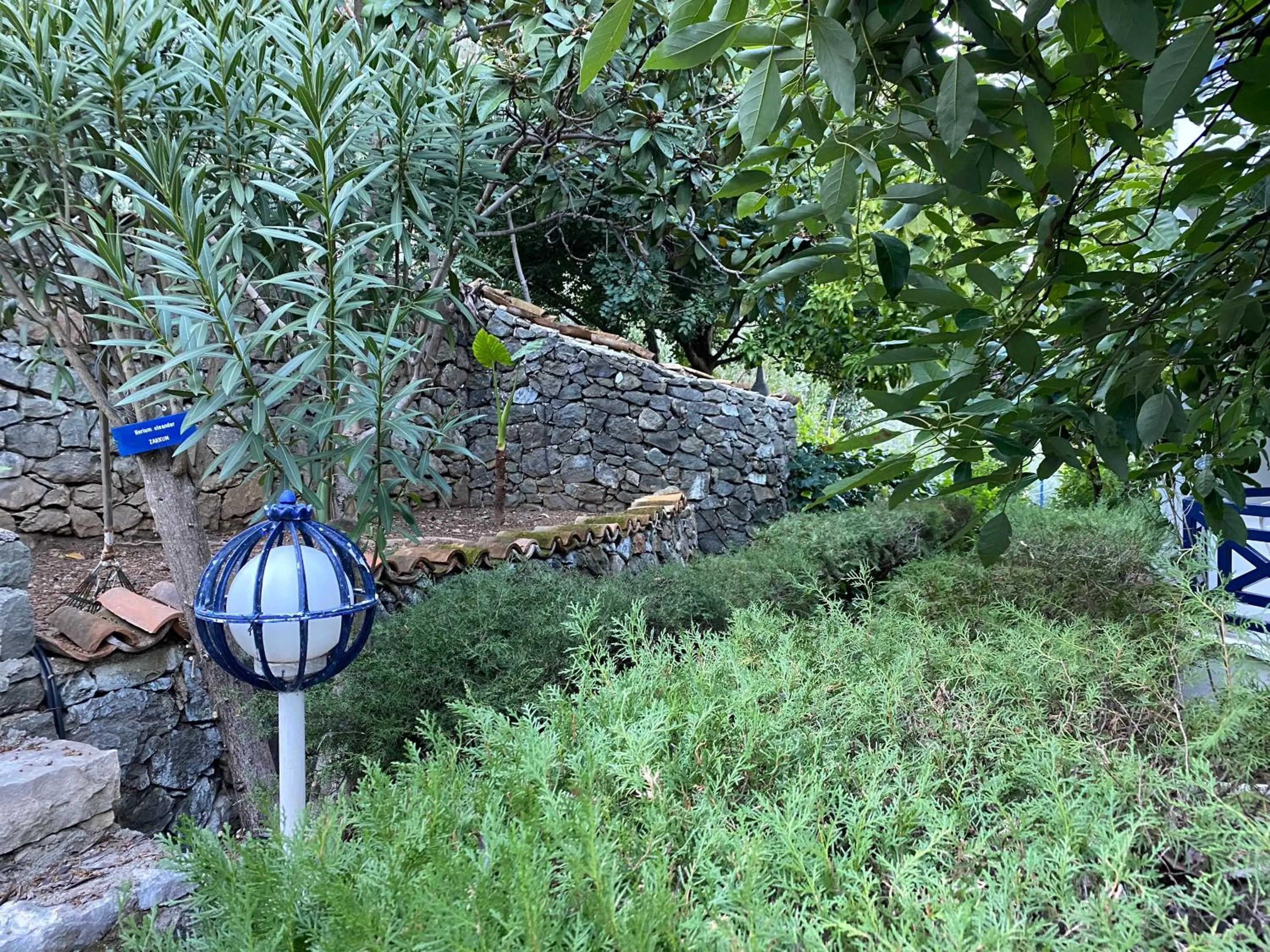 Garden in NATURELLA APART HOTEL