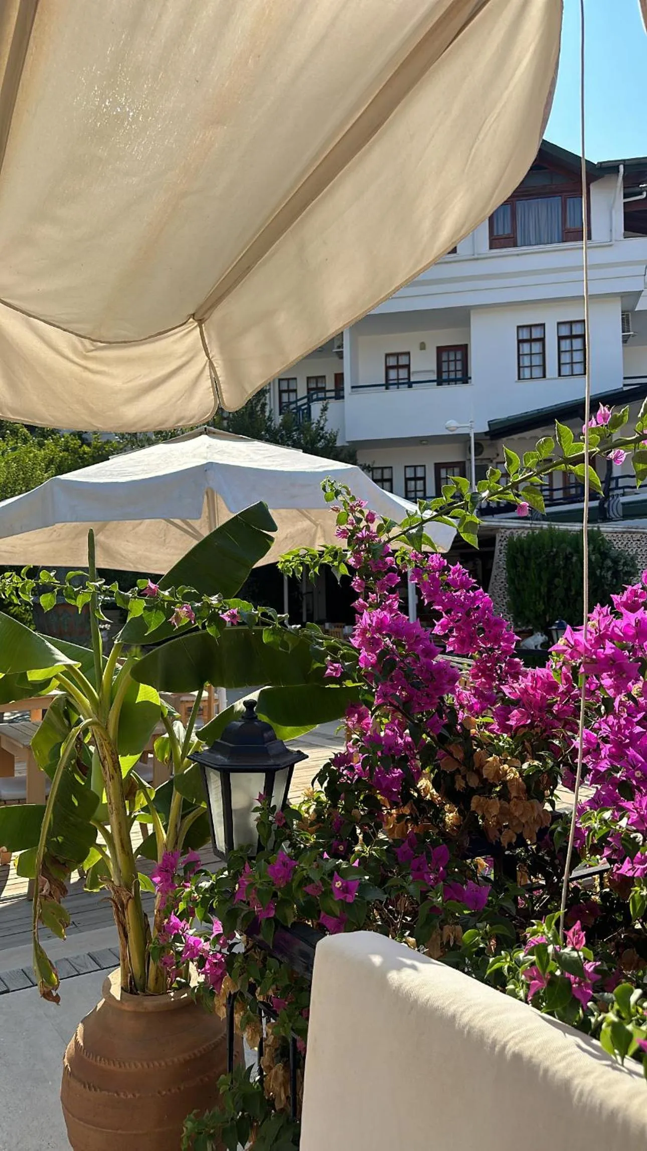 Spring in NATURELLA APART HOTEL