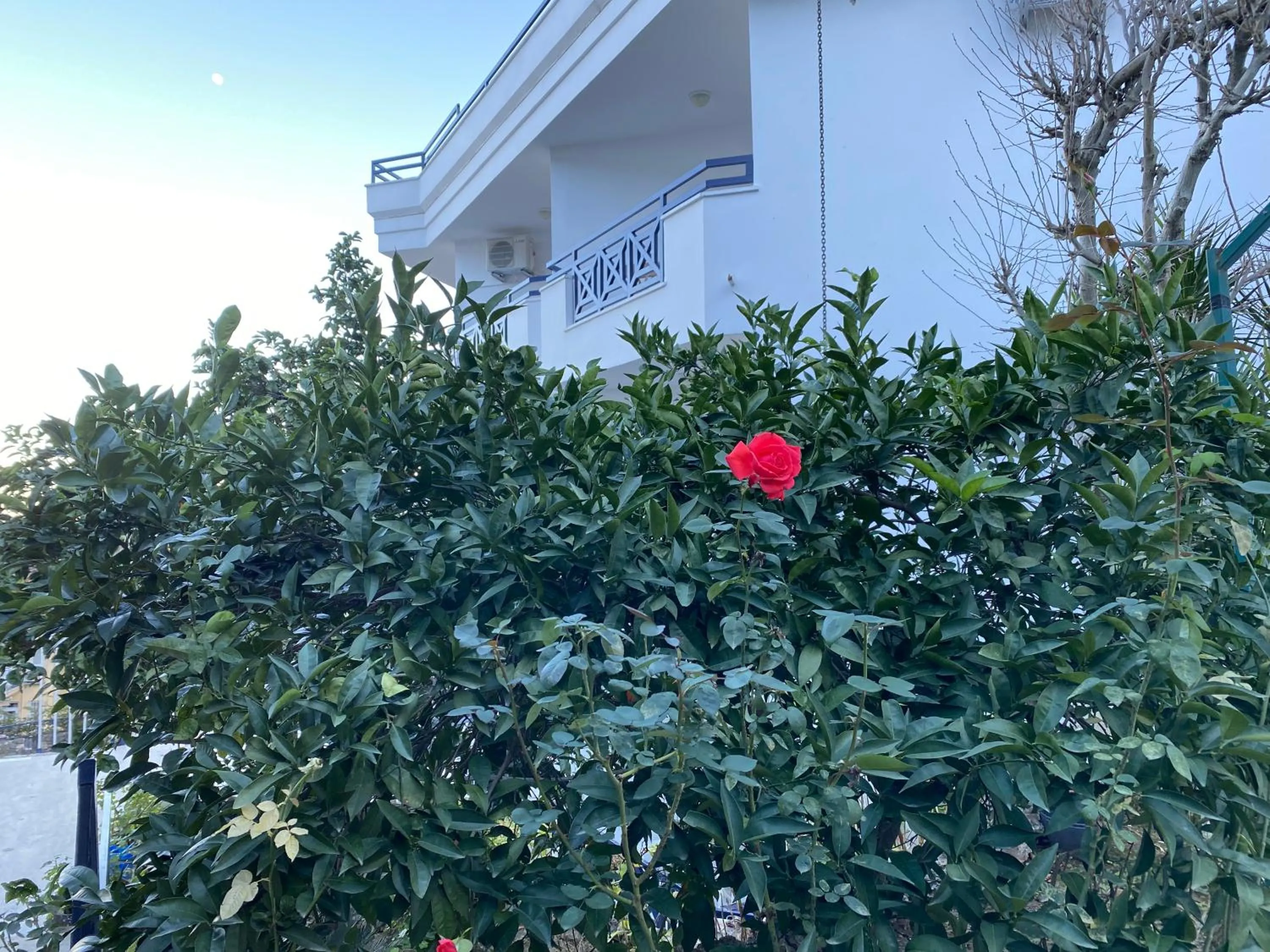 Garden in NATURELLA APART HOTEL