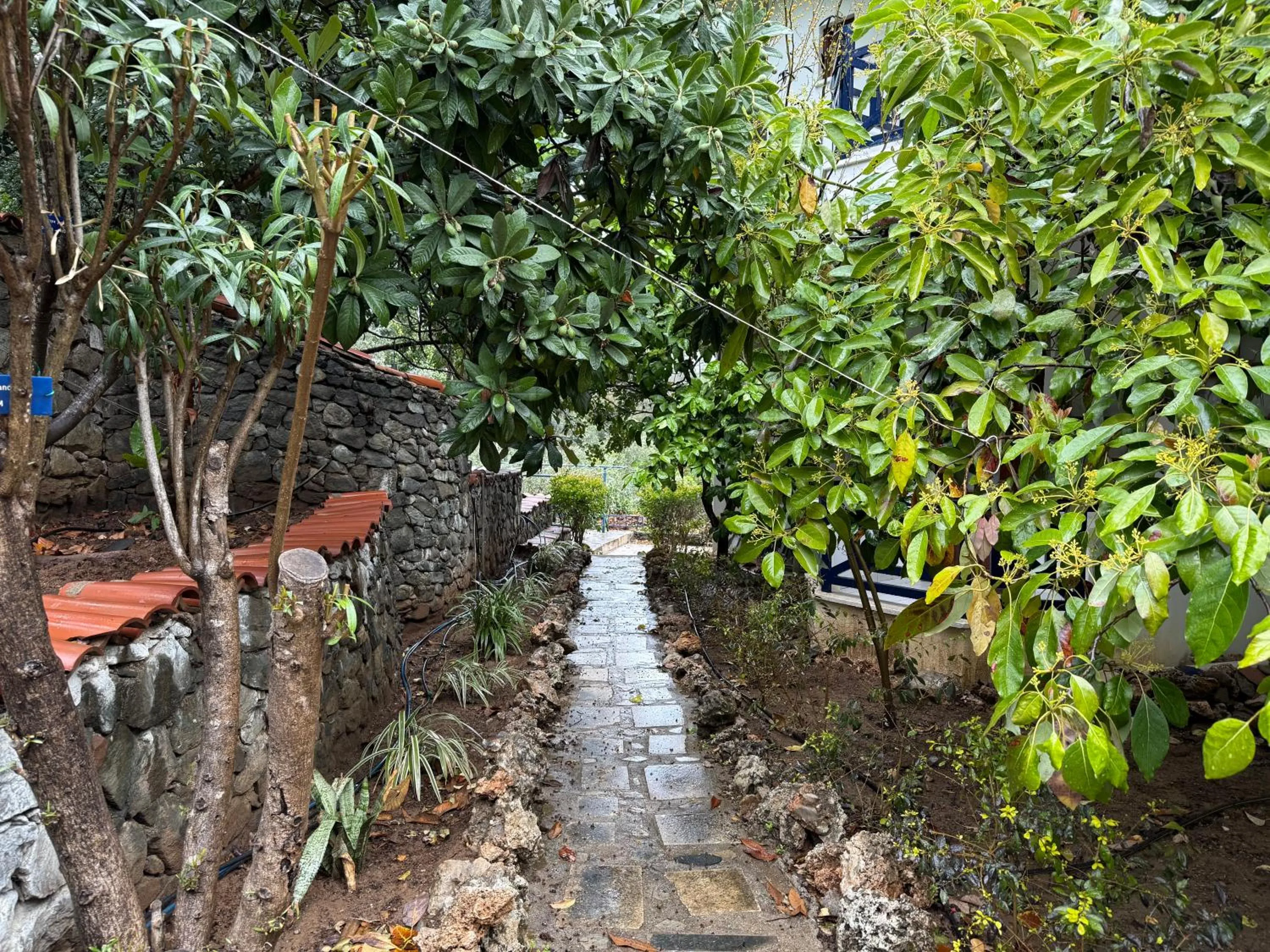 Spring in NATURELLA APART HOTEL