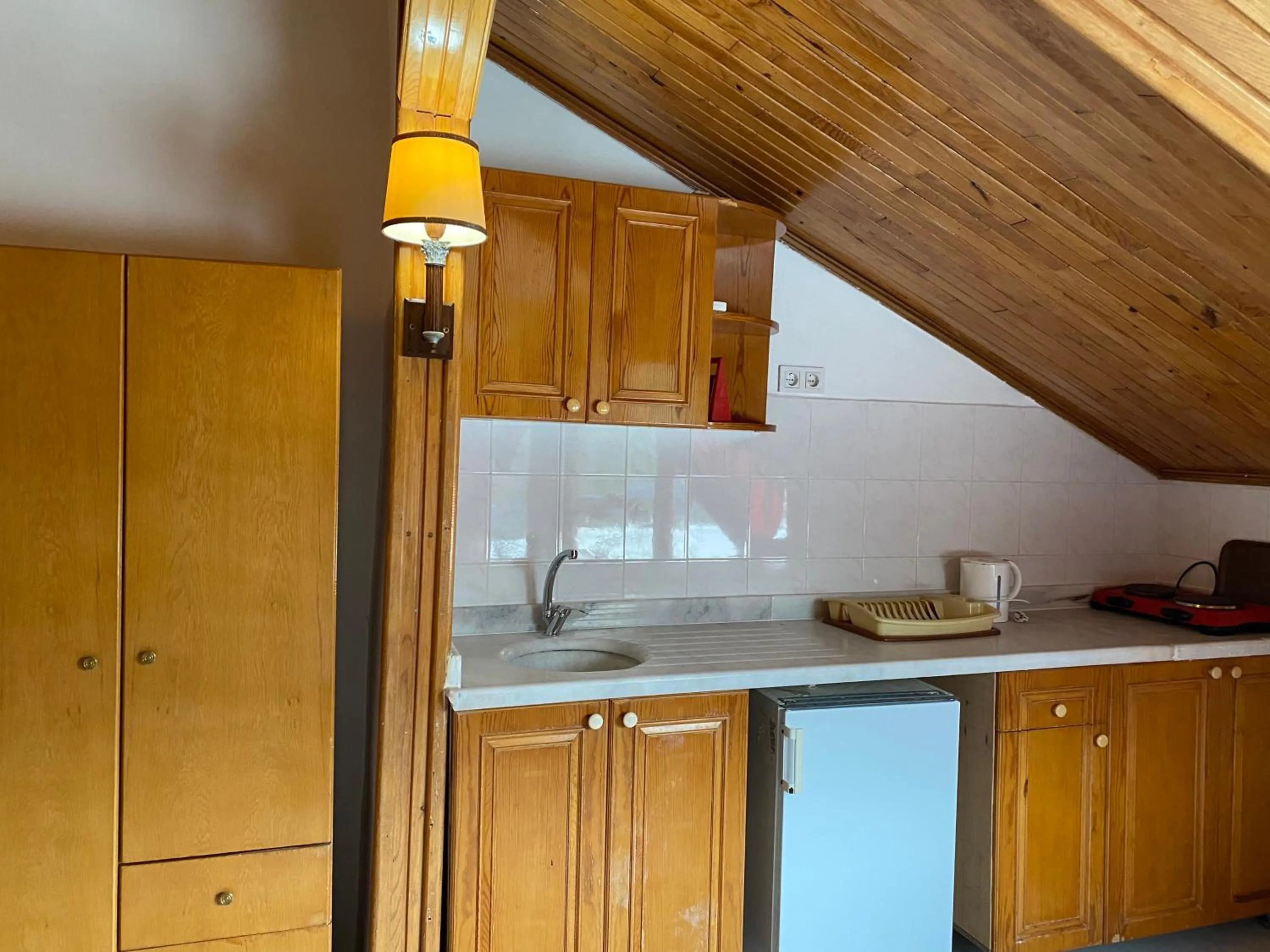 Kitchen or kitchenette in NATURELLA APART HOTEL