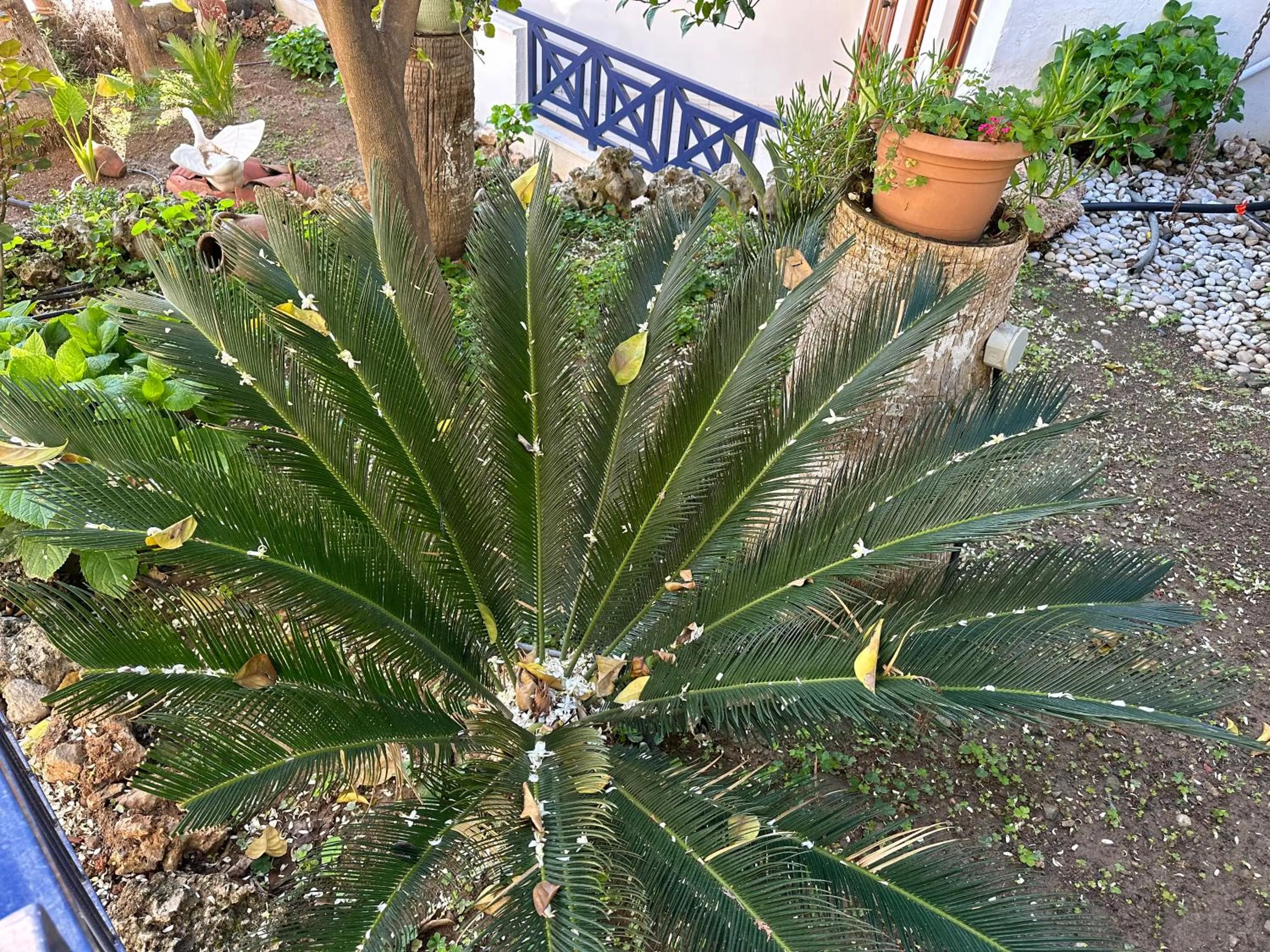 Spring in NATURELLA APART HOTEL