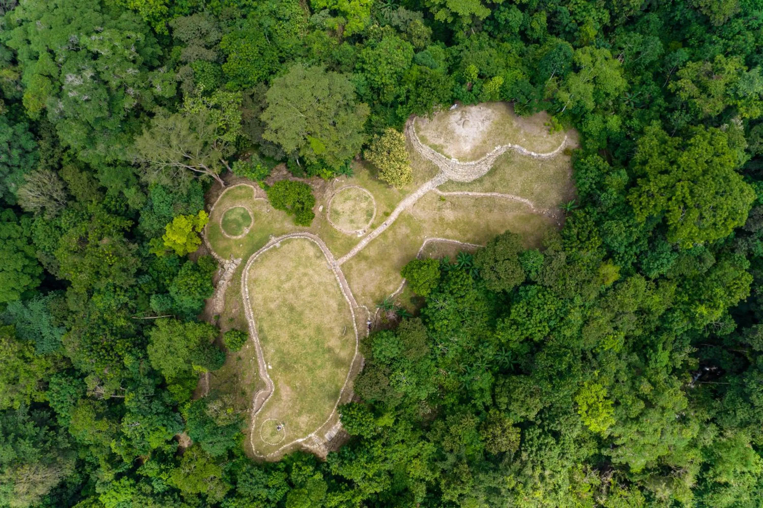 Natural landscape in Hotel MadreSierra Parque Tayrona