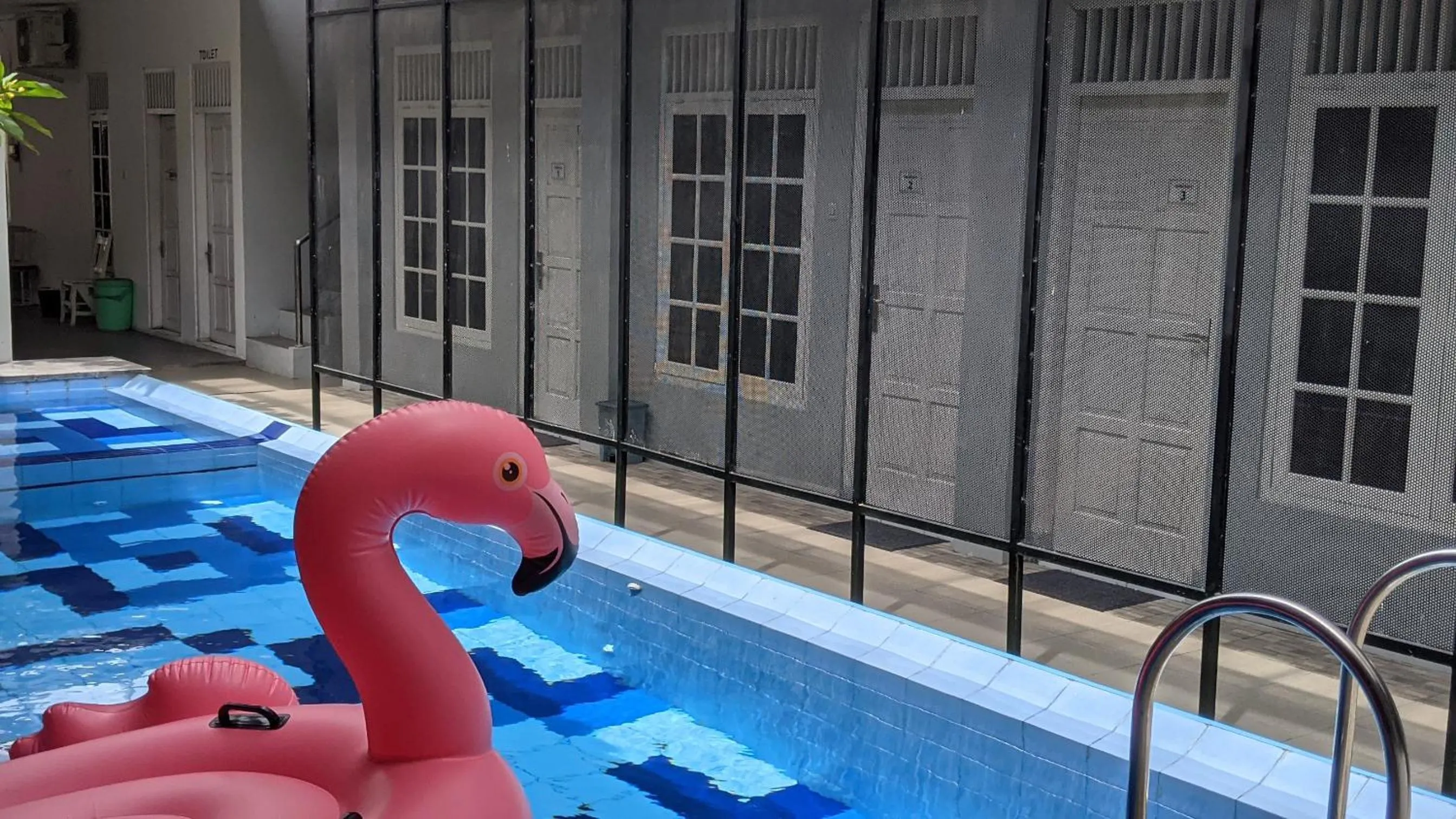 Swimming pool in Tamadara Guesthouse Jogja