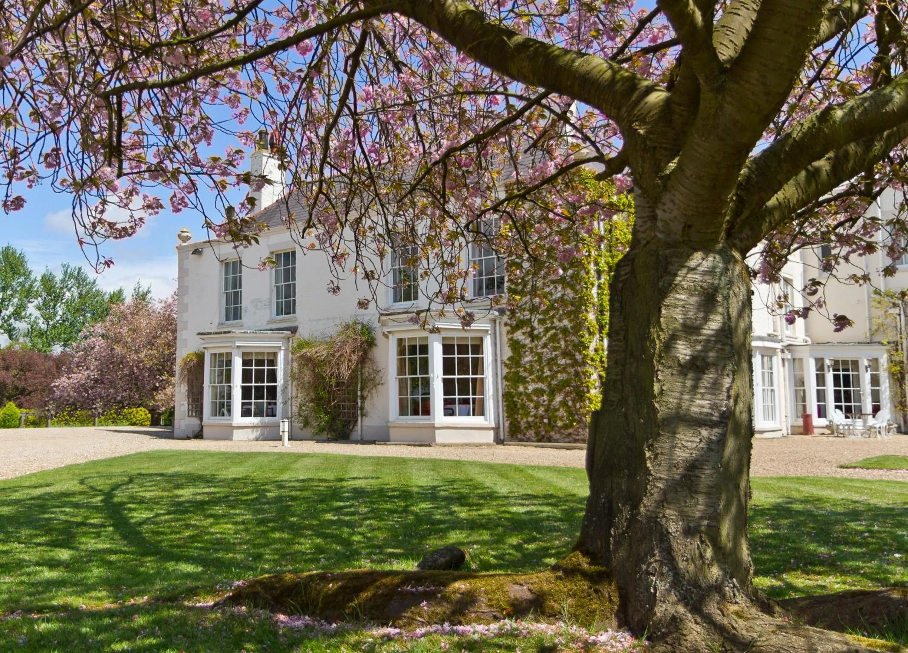 Bird's eye view in Tickton Grange Hotel