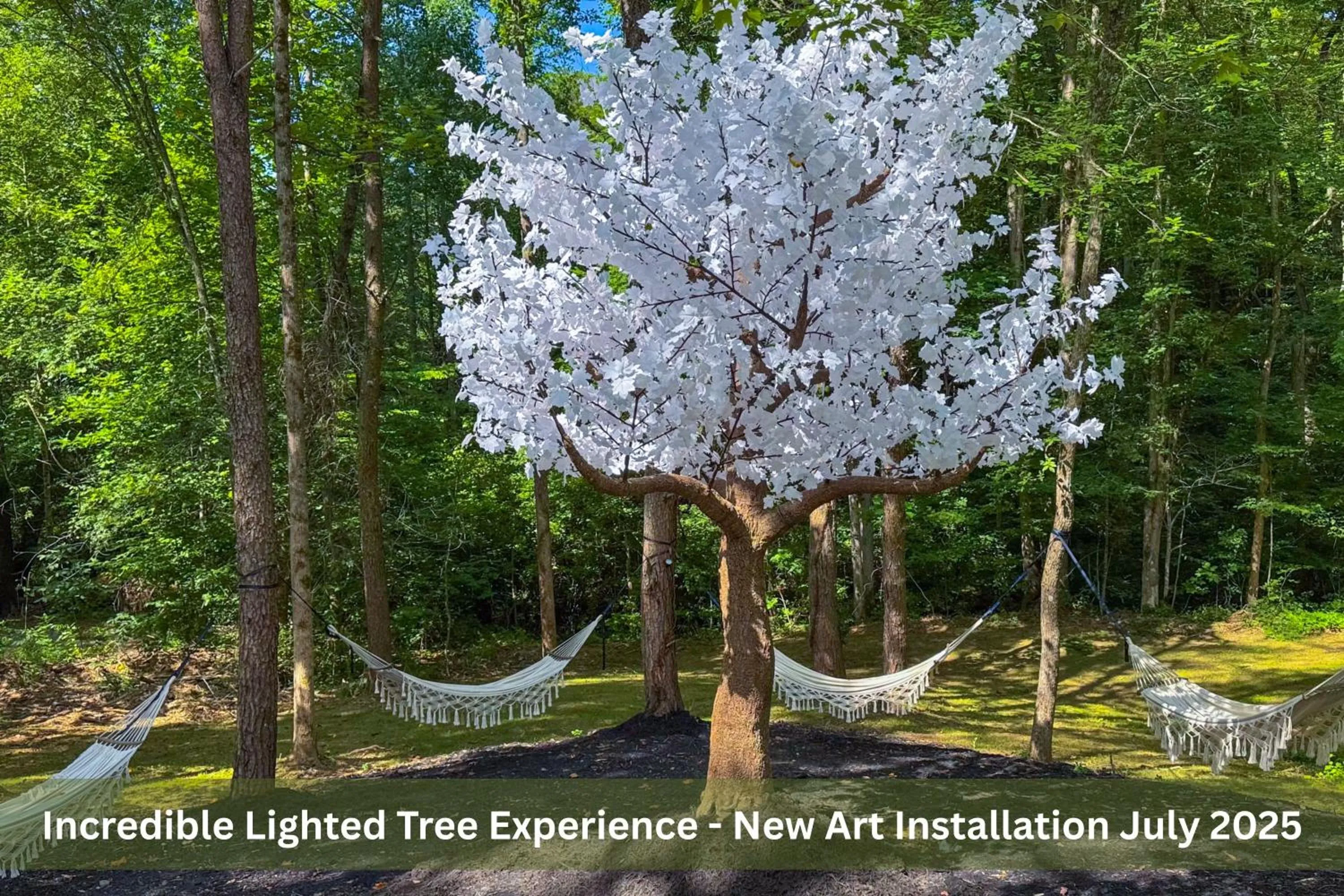 Enchanted Forest Cabin And Teepee! Lights & Laser Show! Private Hot Tub! Unique Stay!