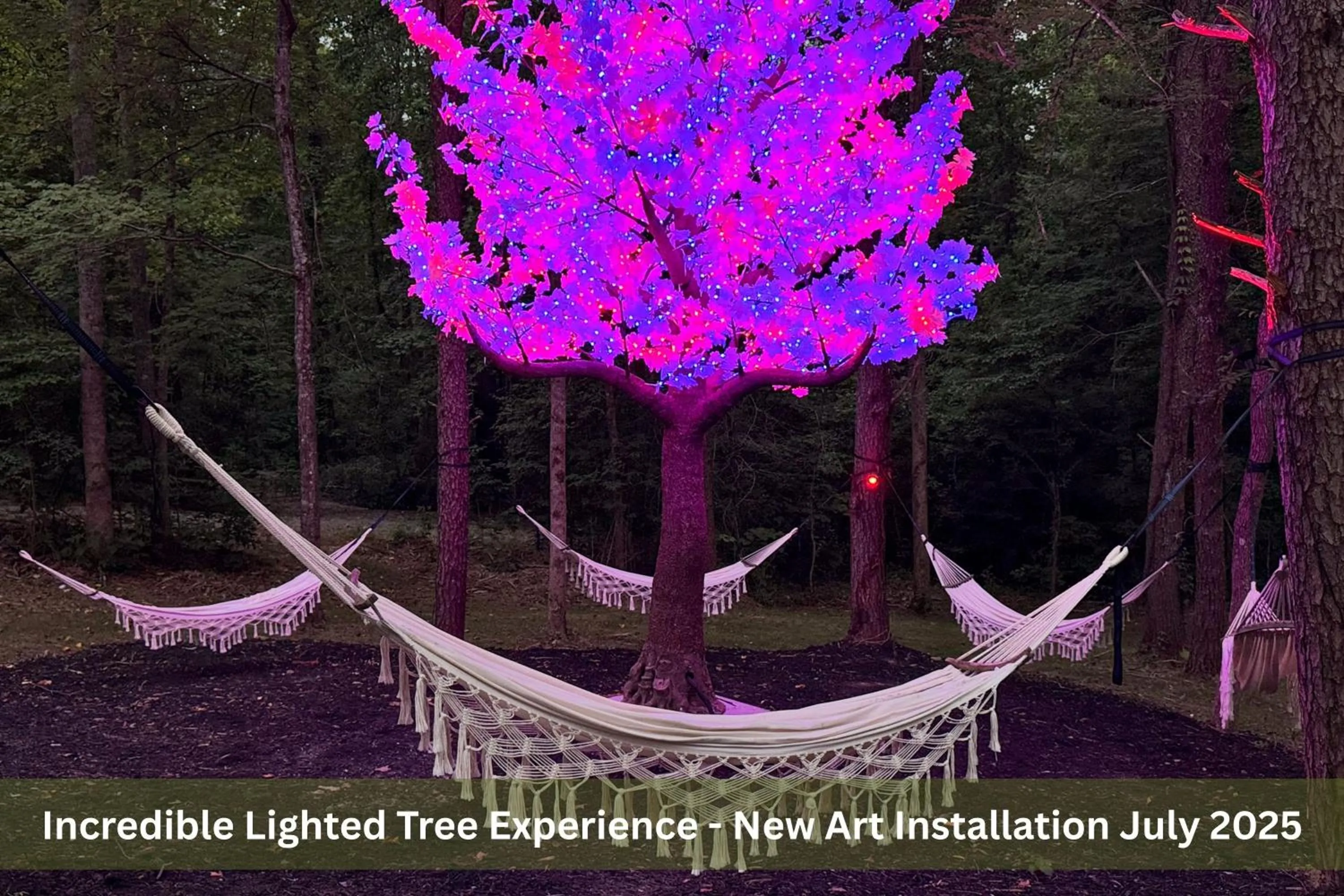 Enchanted Forest Cabin And Teepee! Lights & Laser Show! Private Hot Tub! Unique Stay!