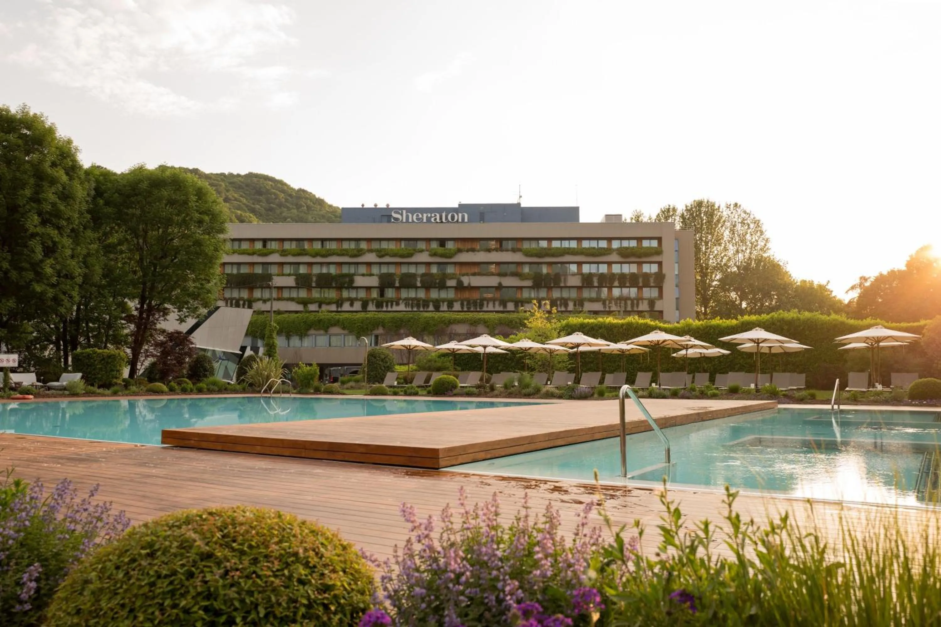 Area and facilities in Sheraton Lake Como Hotel