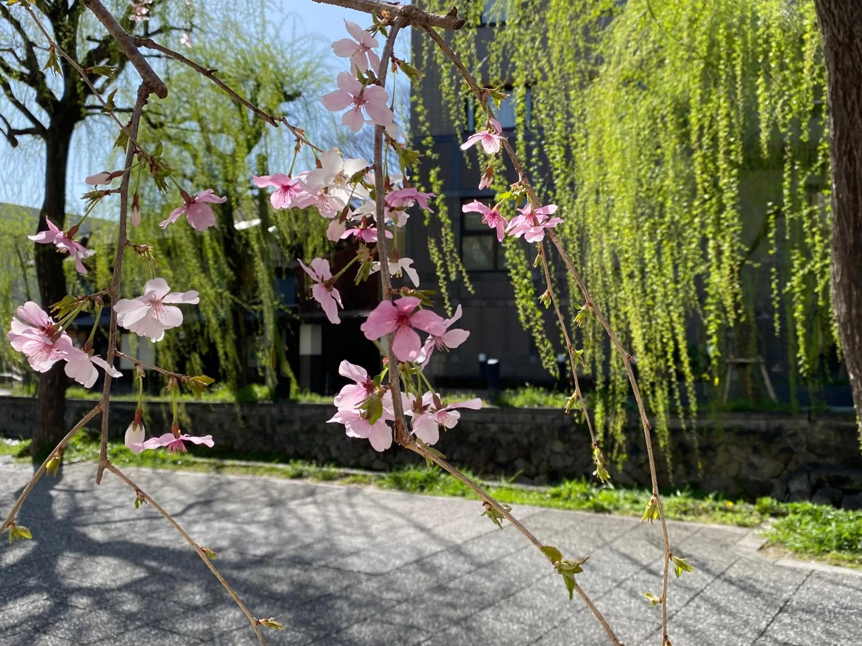 Nearby landmark in Hotel Legasta Kyoto Higashiyama Sanjo