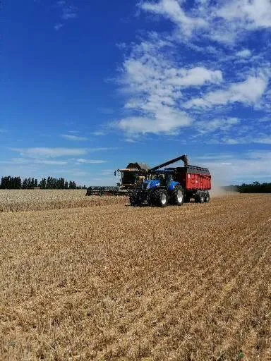 Natural landscape in Ferme De Bonavis