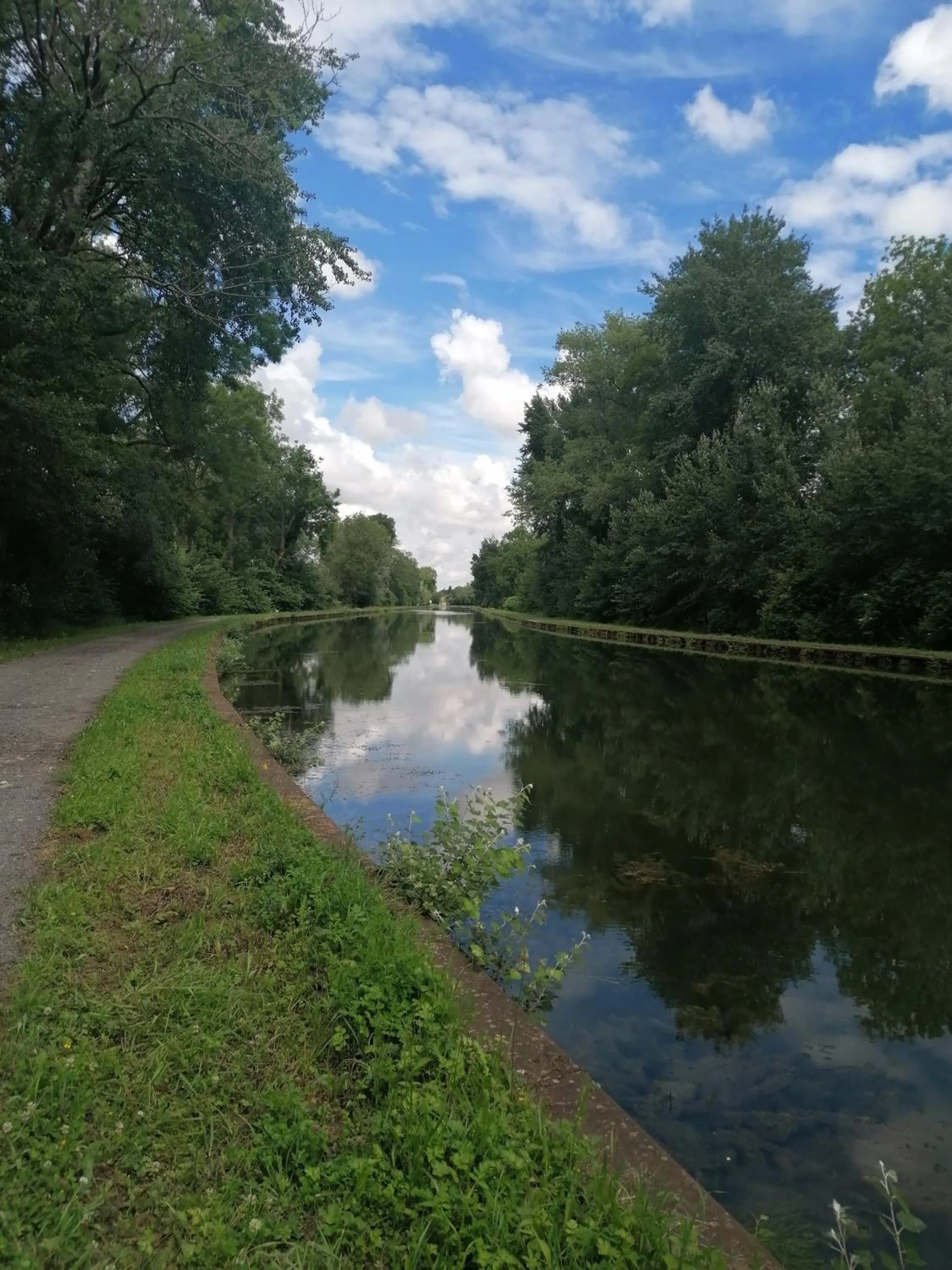 Natural landscape in Ferme De Bonavis