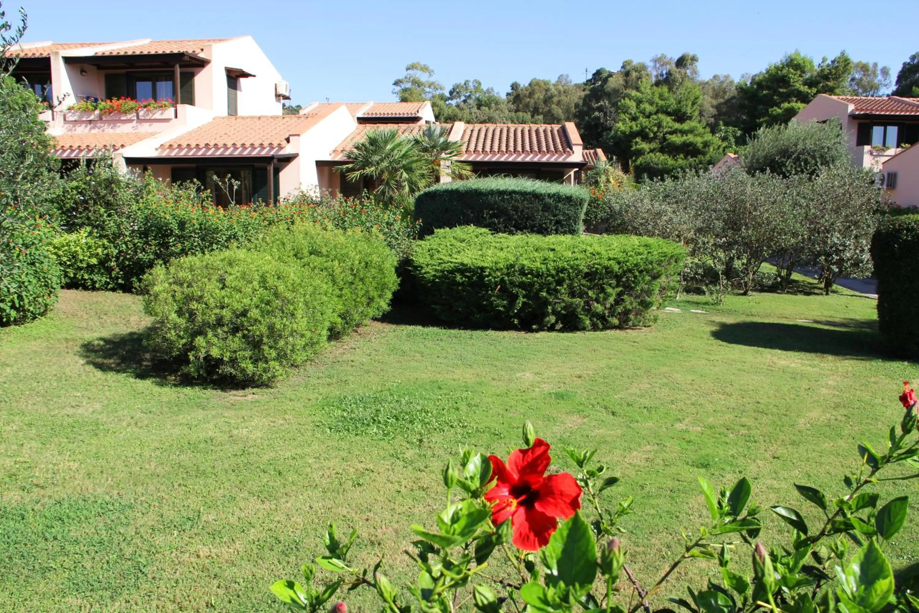 Garden in Albaruja Hotel