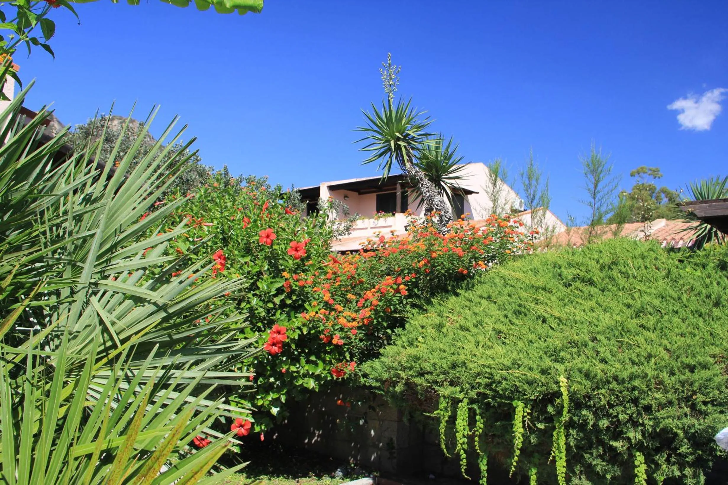Garden in Albaruja Hotel