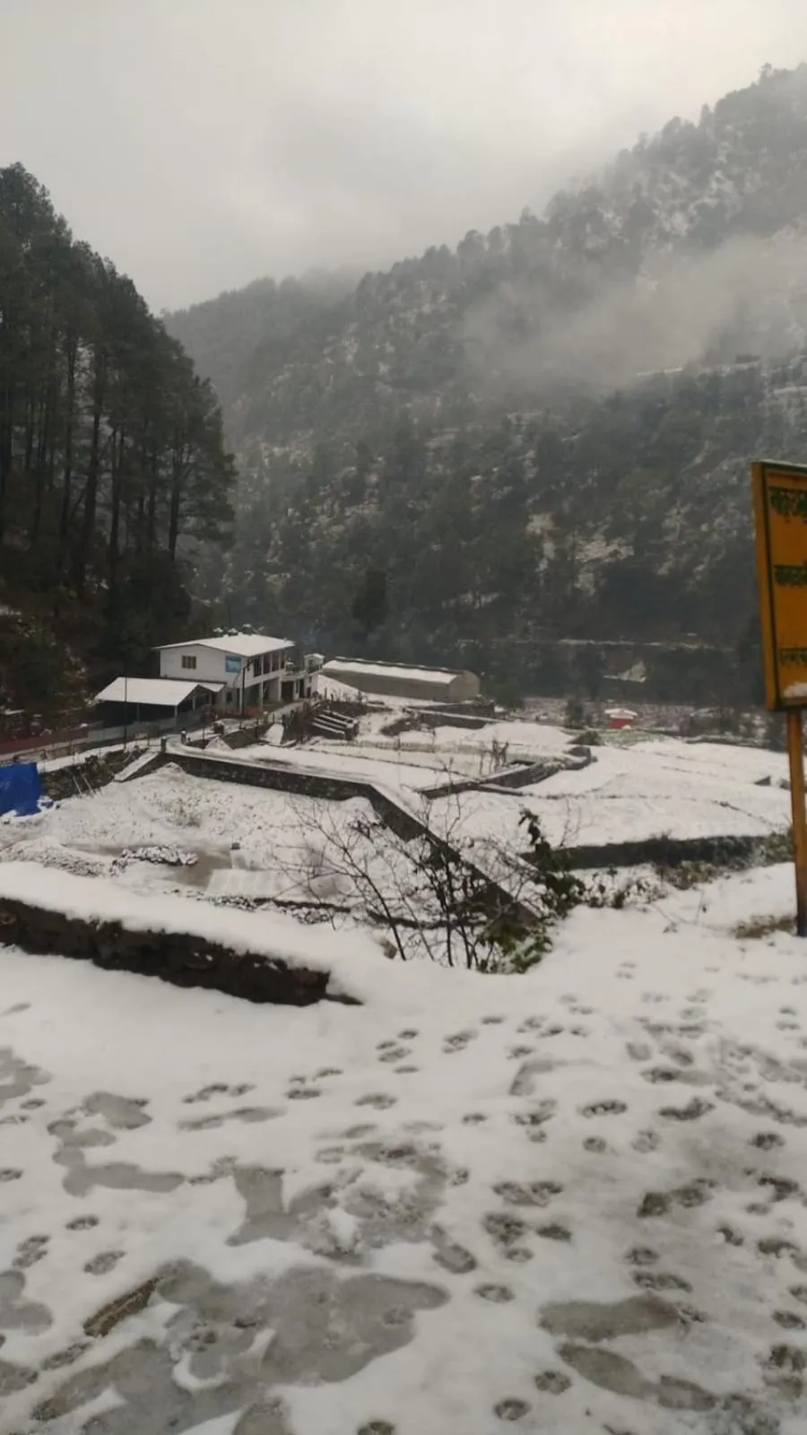 Chirag Homestay Kainchi