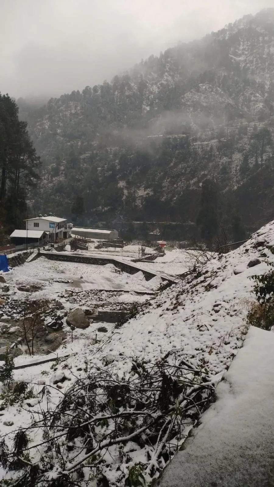 Chirag Homestay Kainchi