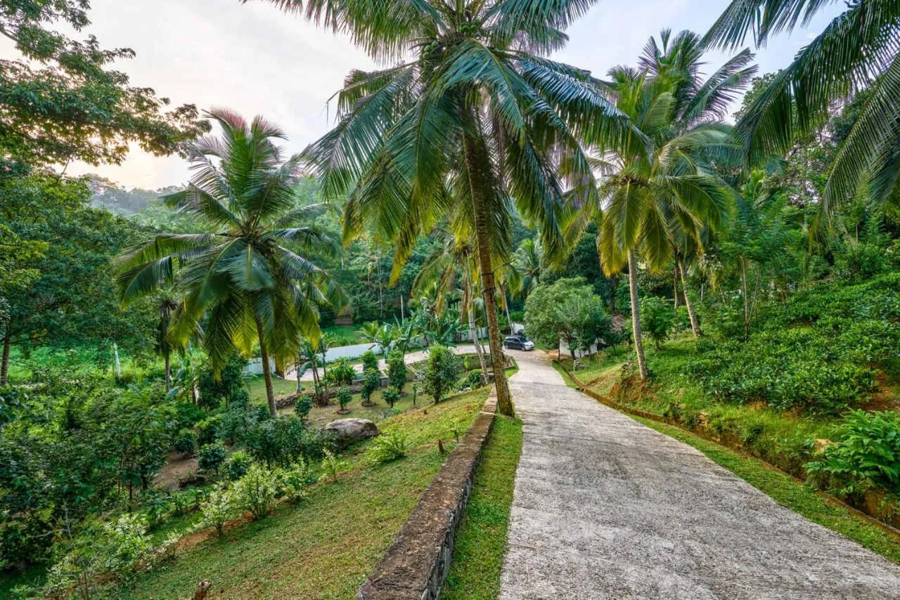 Garden in The Divine Villa