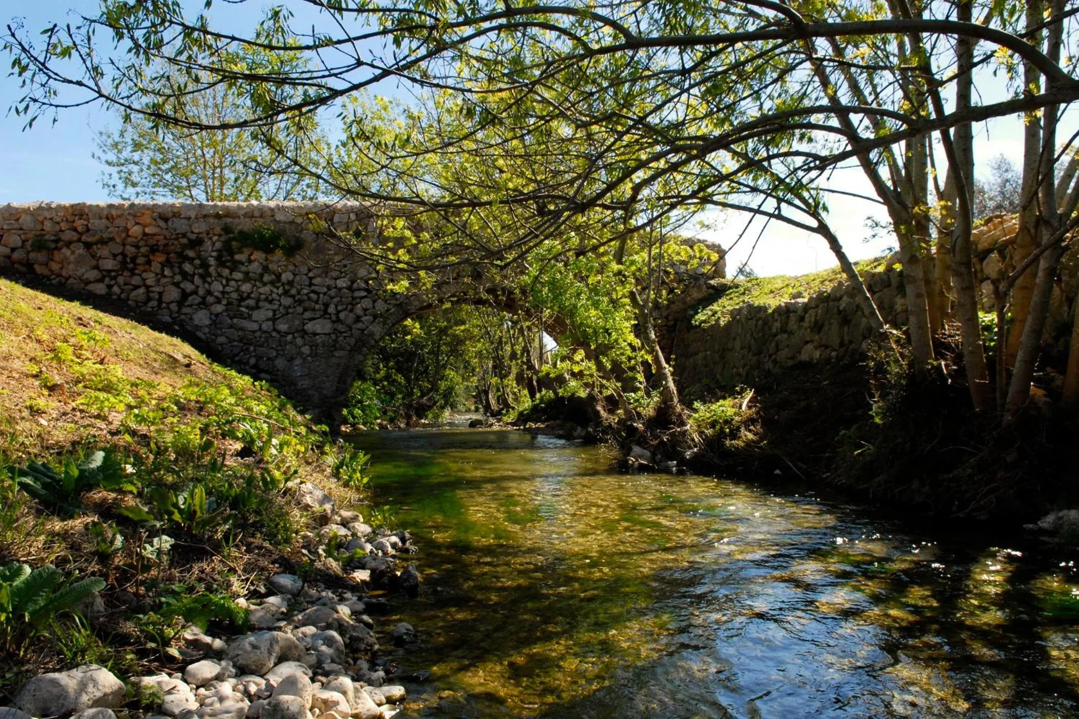Alaró Natura Rural Suites