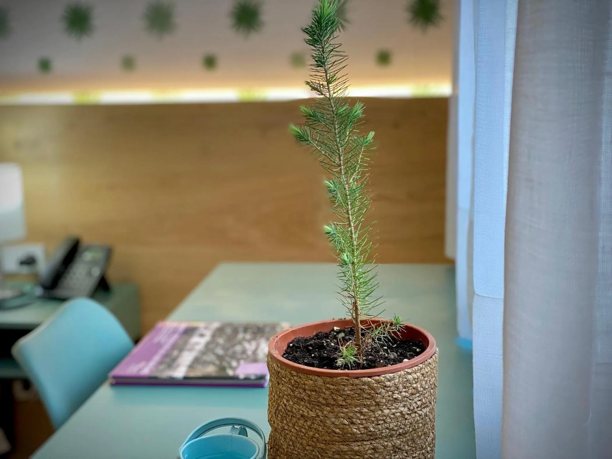 Alaró Natura Rural Suites