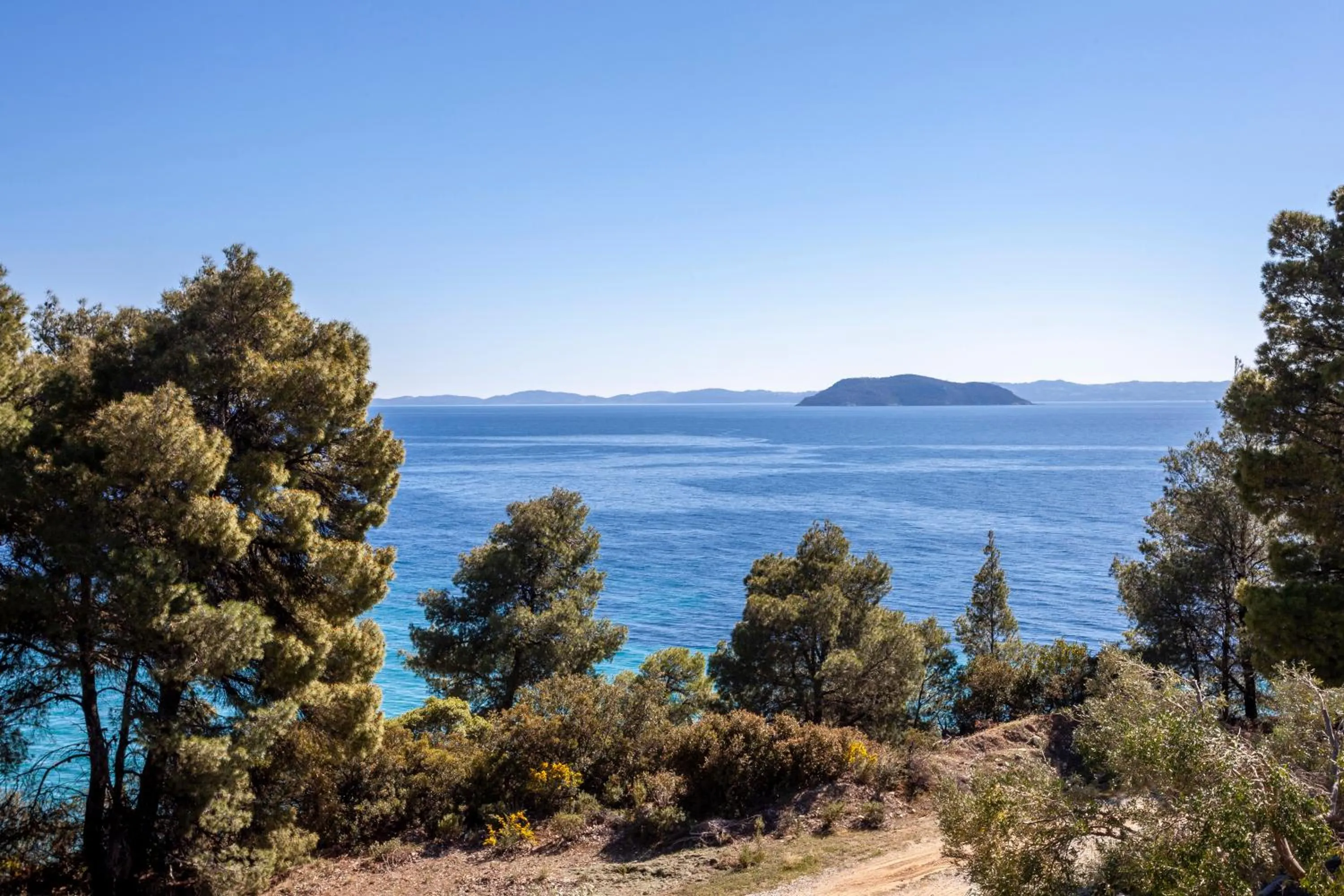 Natural landscape in Alterra Vita Homes By the Sea