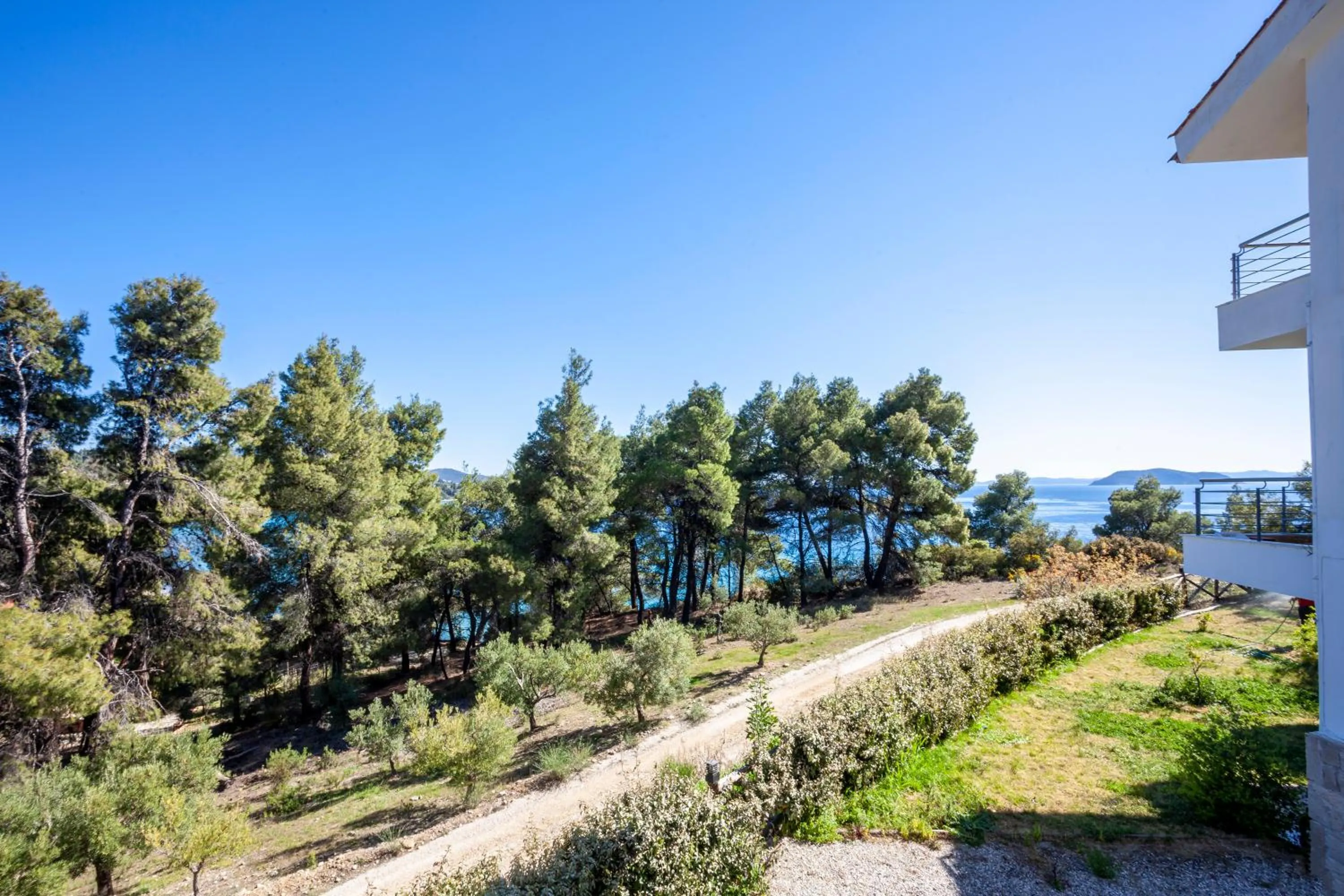 Natural landscape in Alterra Vita Homes By the Sea