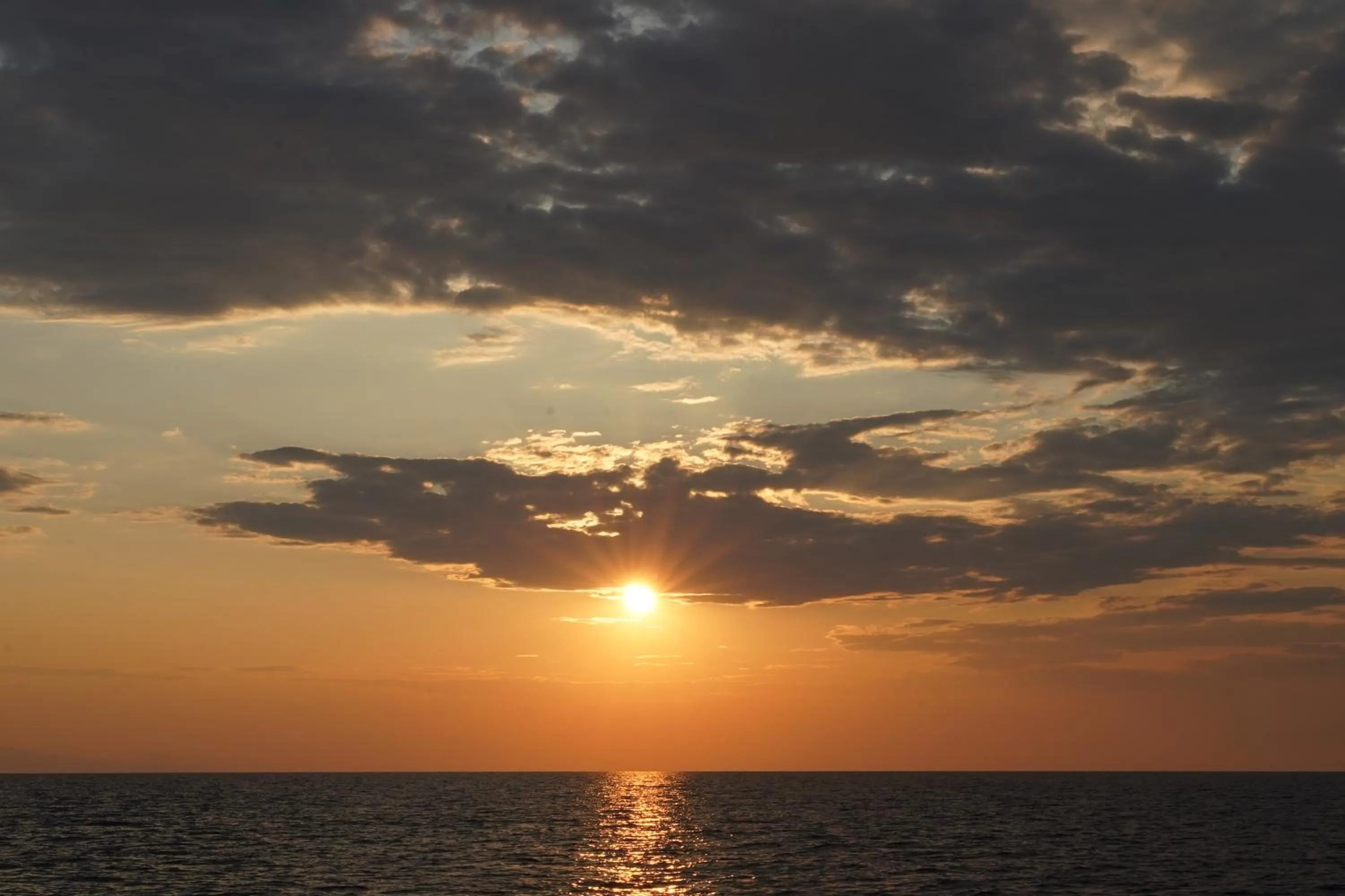 Natural landscape in Alterra Vita Homes By the Sea