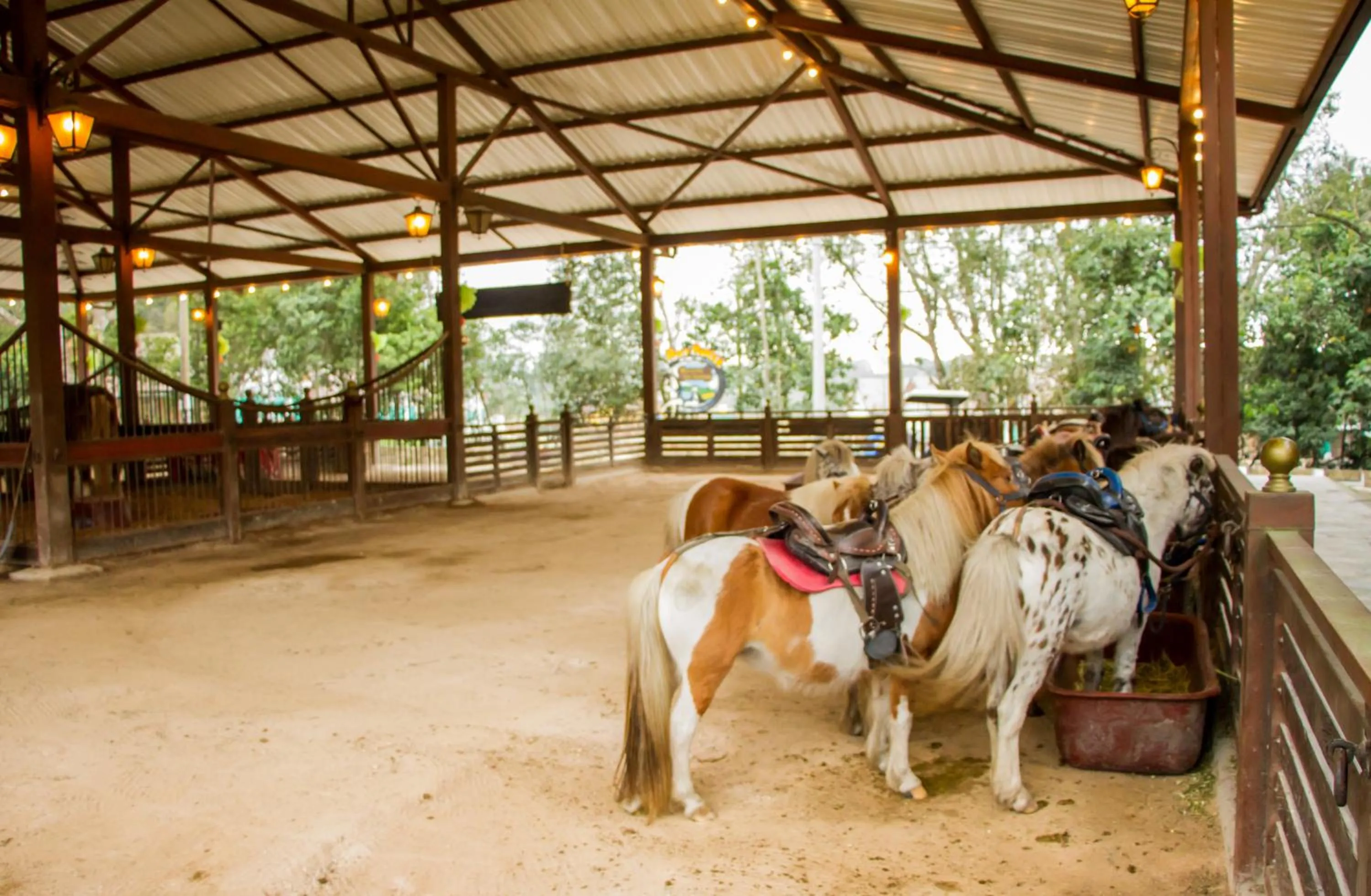 Horse-riding in Hotel Mesa De Los Santos