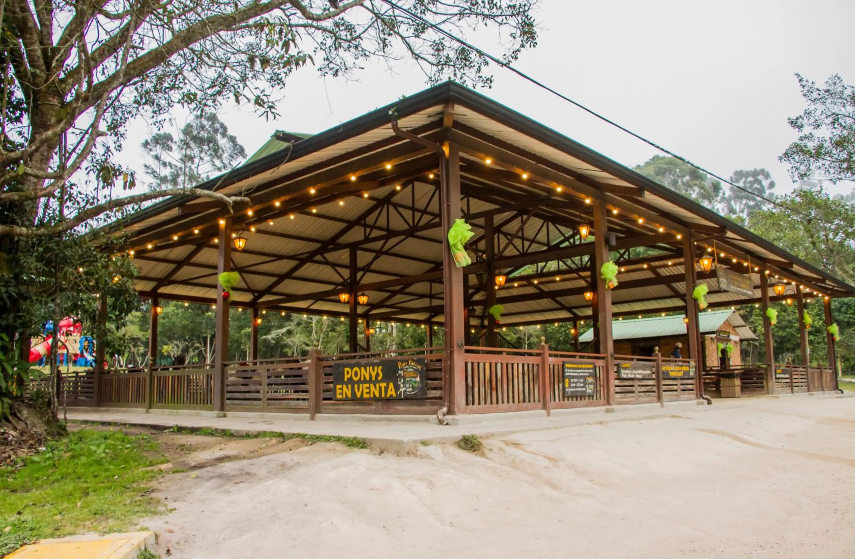 Horse-riding in Hotel Mesa De Los Santos