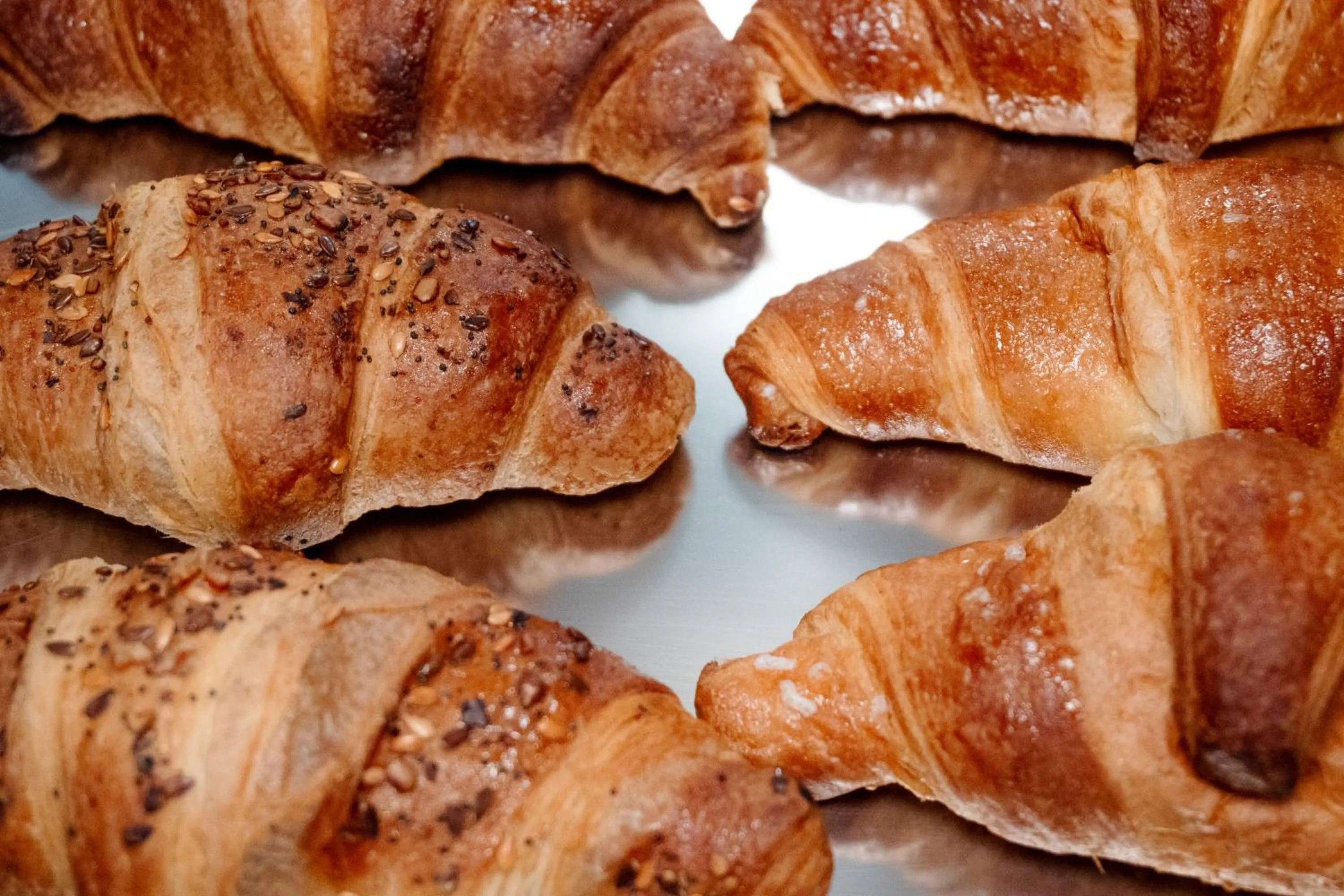 Restaurant/places to eat in Ludovisi Palace Hotel